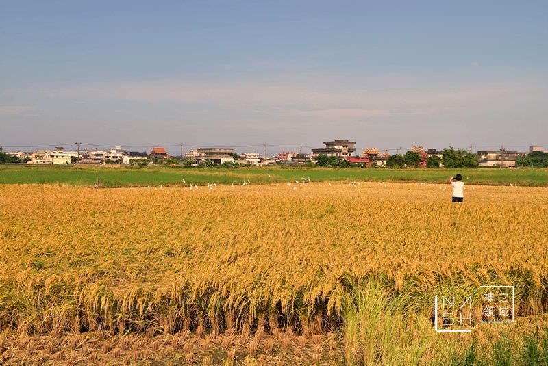 宜蘭伯朗大道