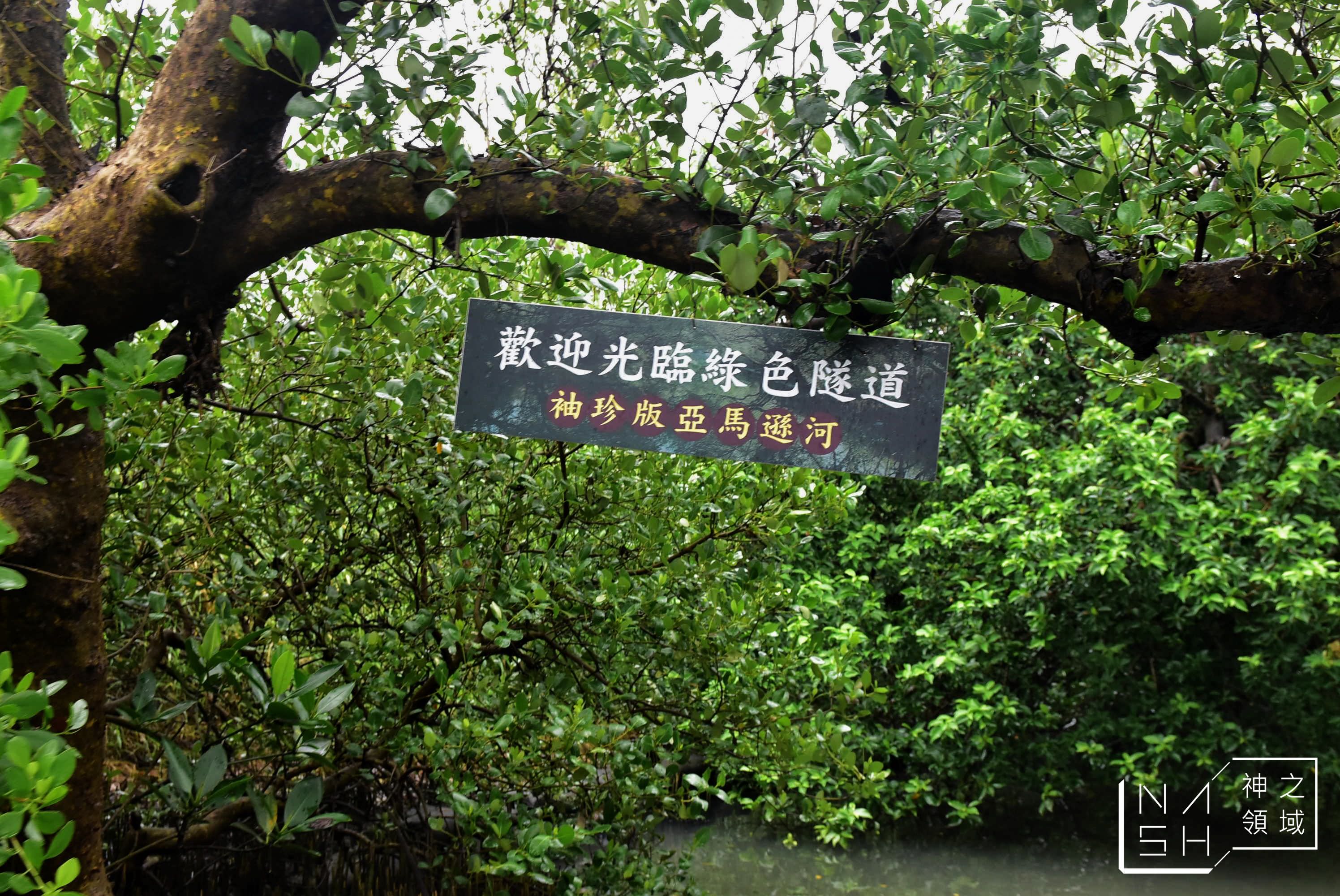 四草綠色隧道
