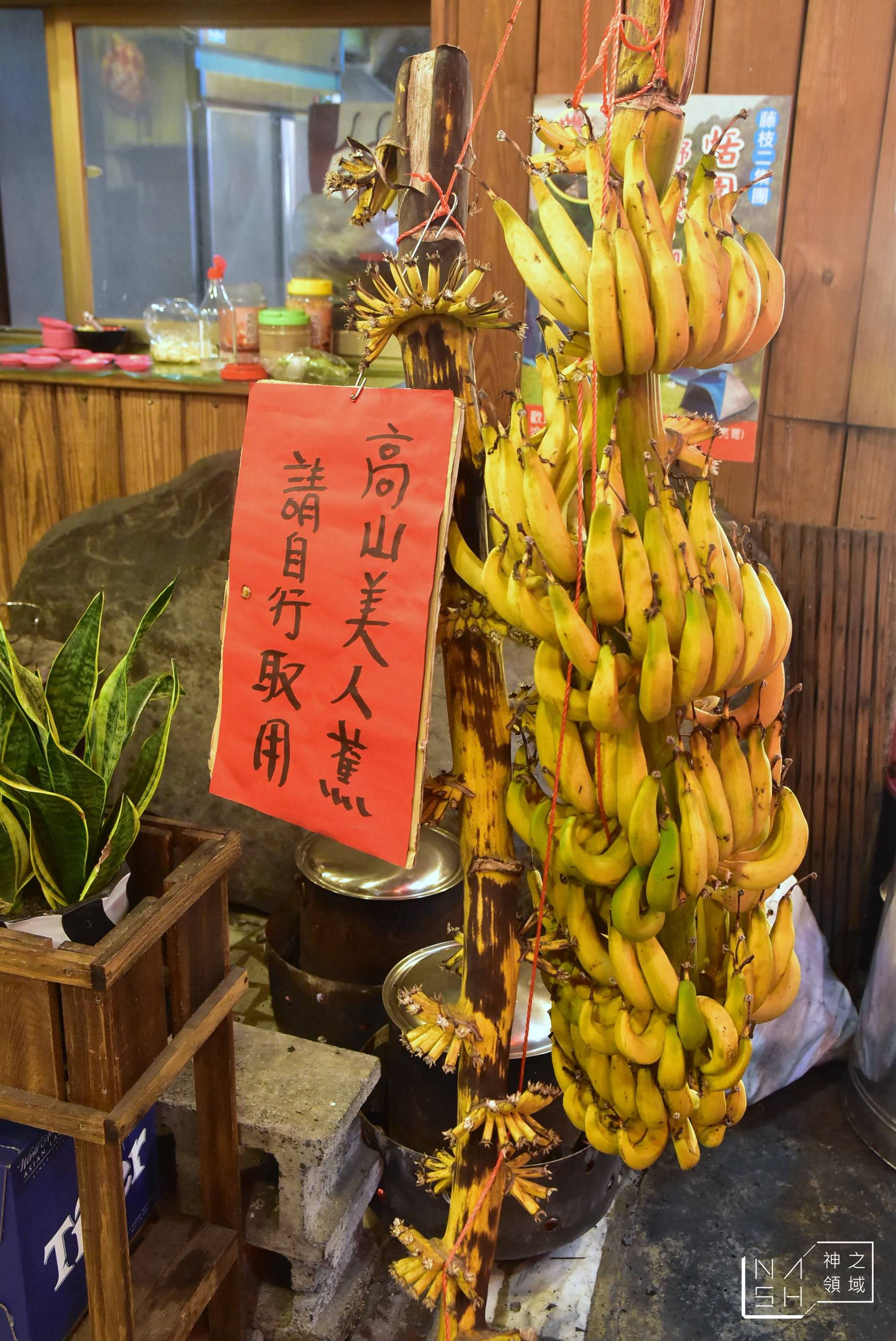 山姐姐海鮮燒烤,凹子底熱炒
