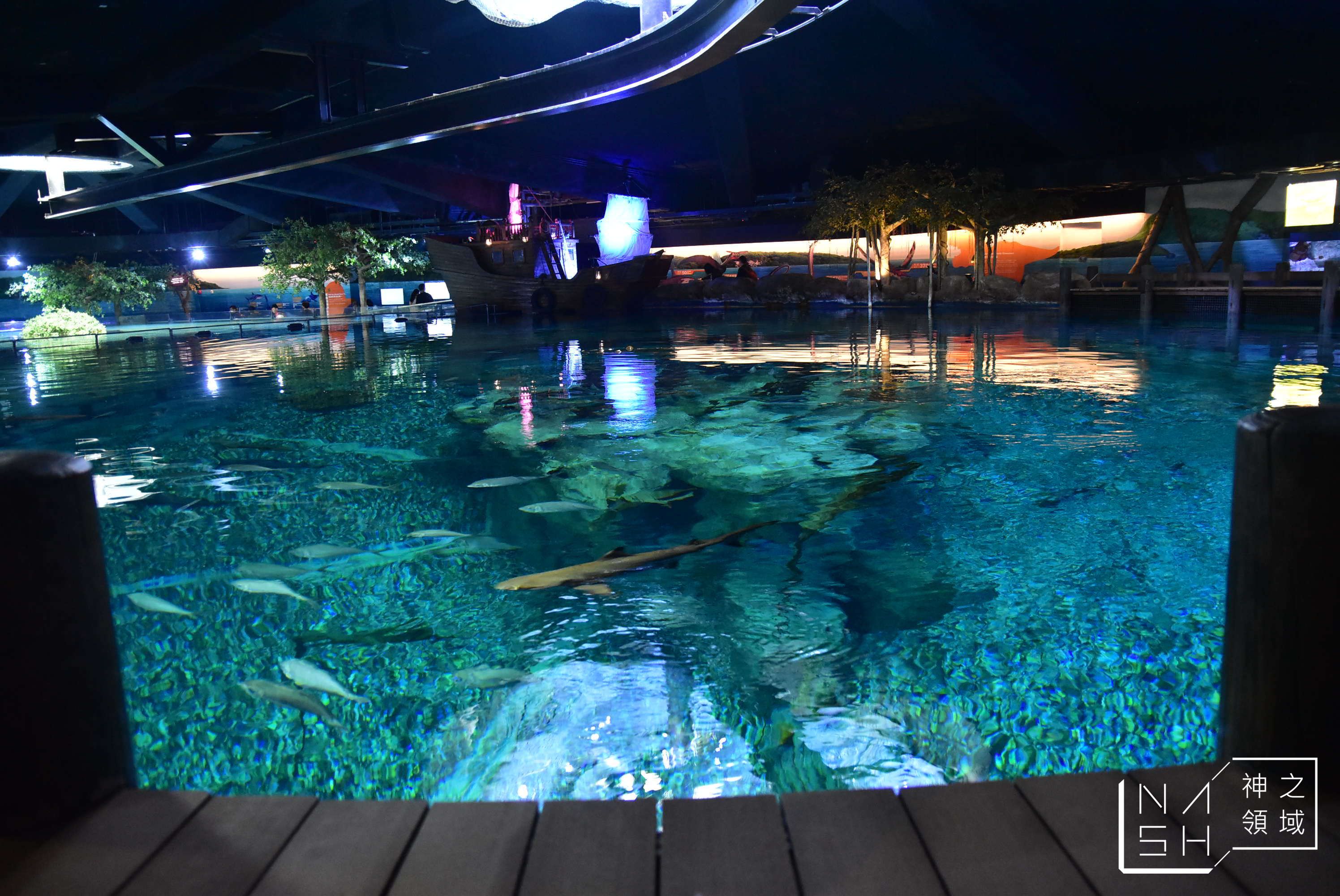 海洋公園交通,海洋公園攻略,香港海洋公園,海洋公園門票優惠