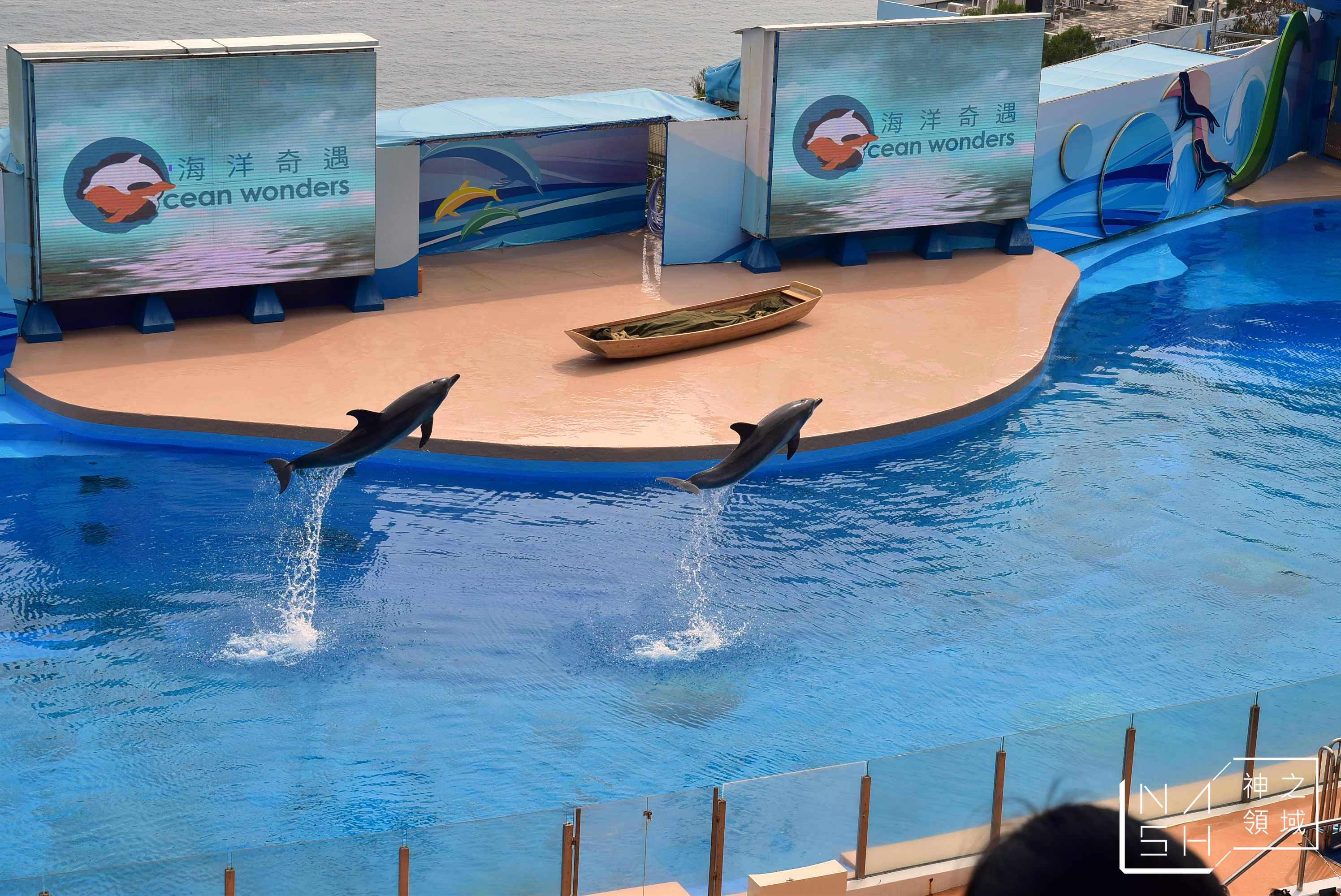 海洋公園交通,海洋公園攻略,香港海洋公園,海洋公園門票優惠