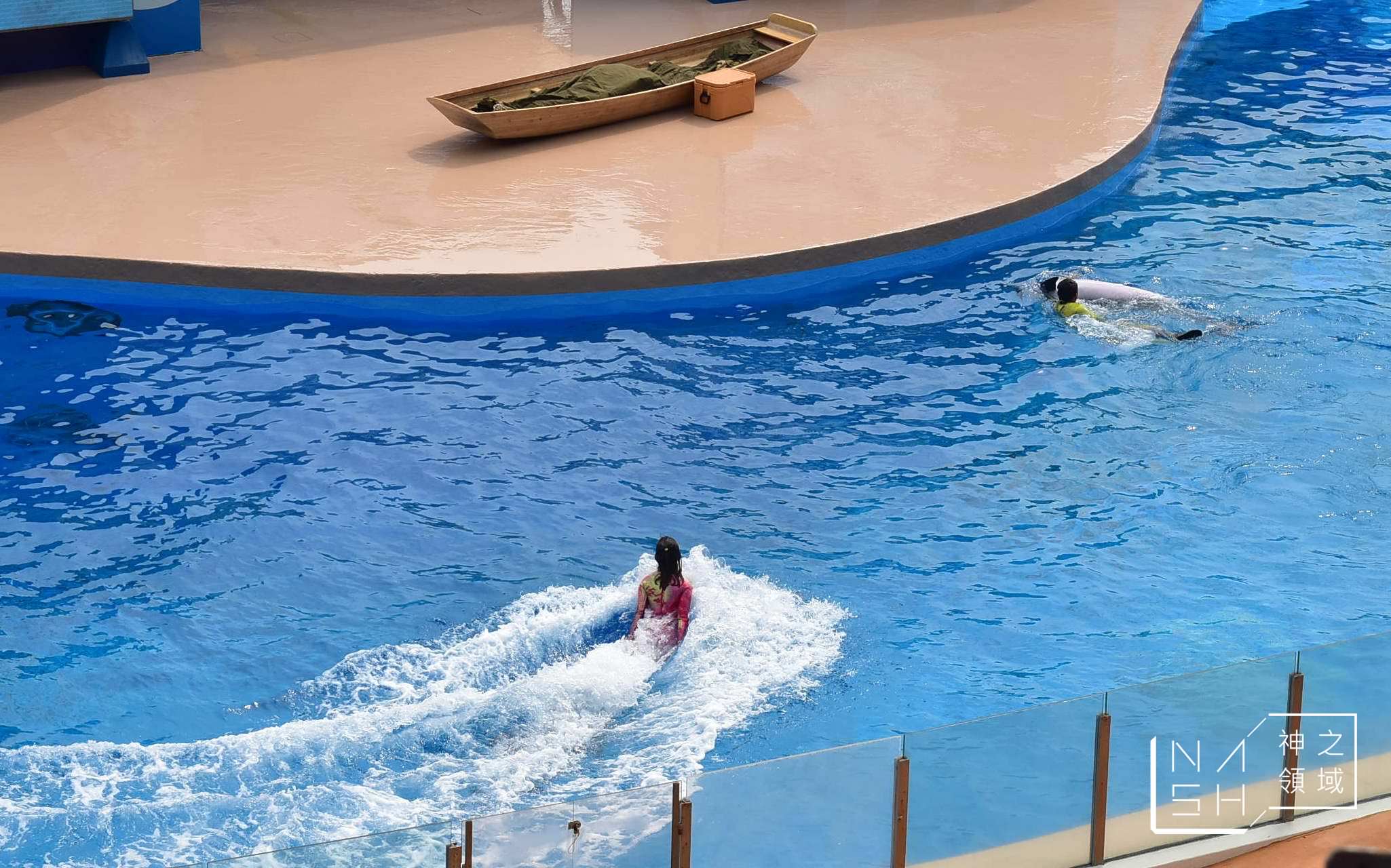 海洋公園交通,海洋公園攻略,香港海洋公園,海洋公園門票優惠