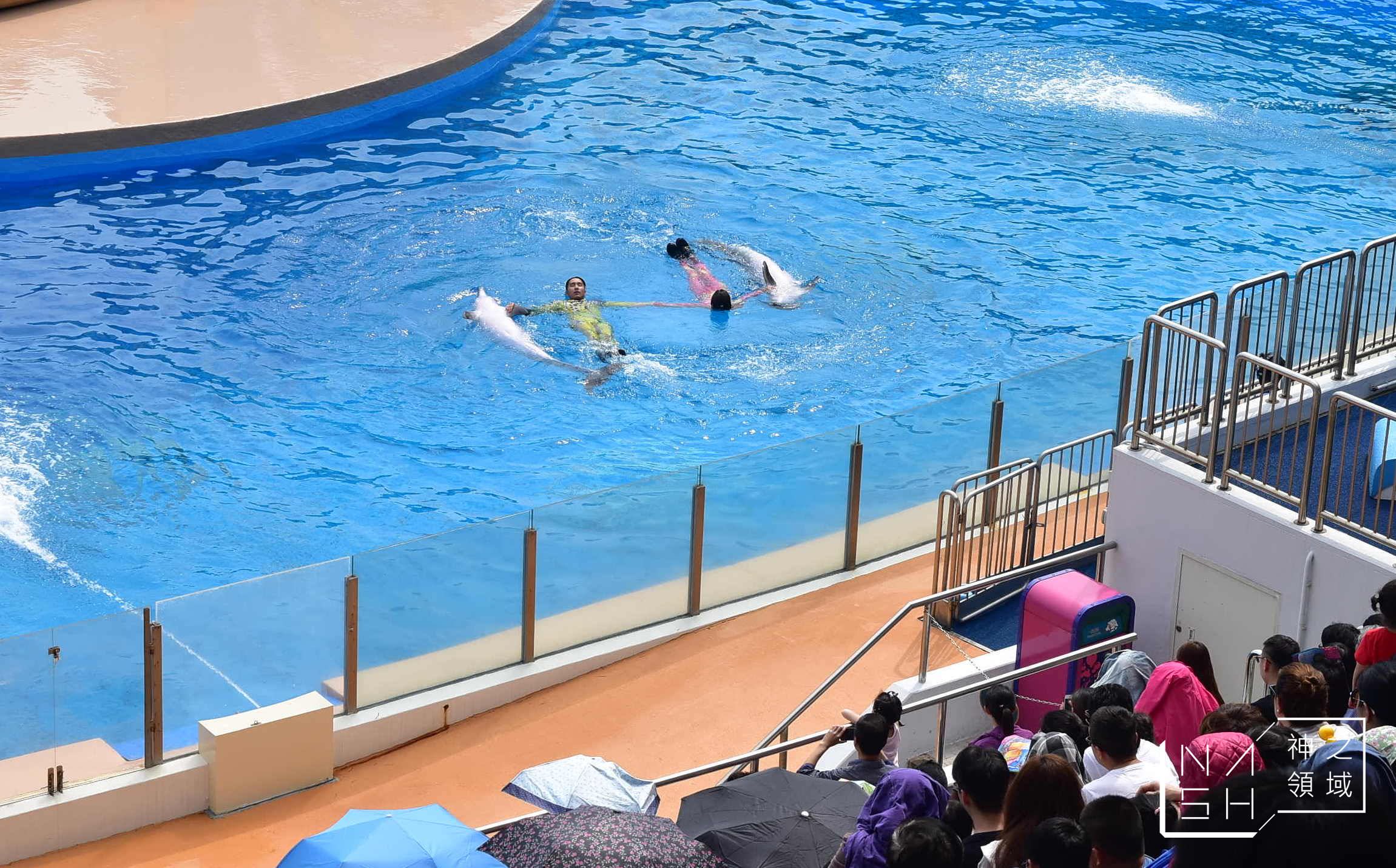 海洋公園交通,海洋公園攻略,香港海洋公園,海洋公園門票優惠