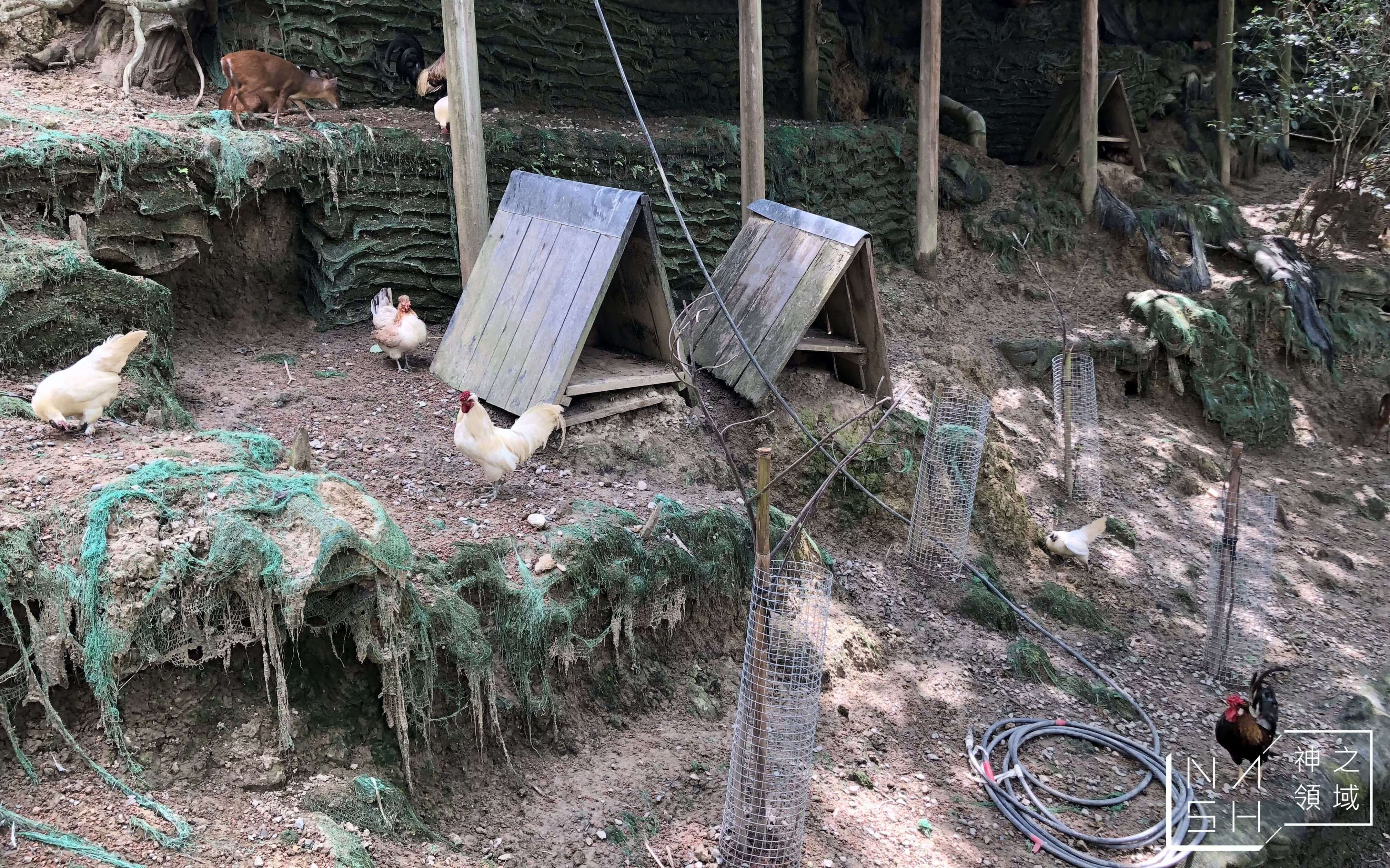 綠世界生態農場