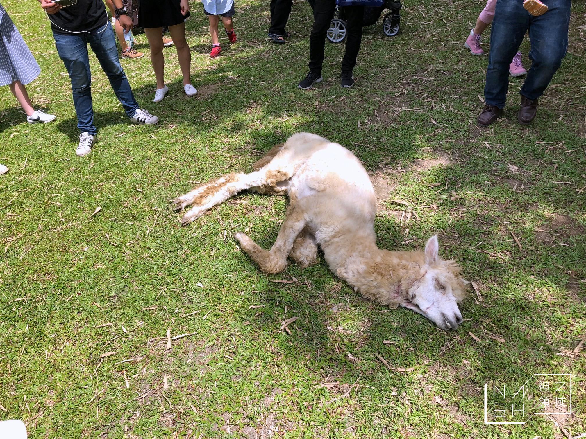 綠世界生態農場