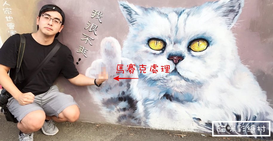嘉義民雄景點推薦,貓咪彩繪村,菁埔彩繪村 @Nash，神之領域