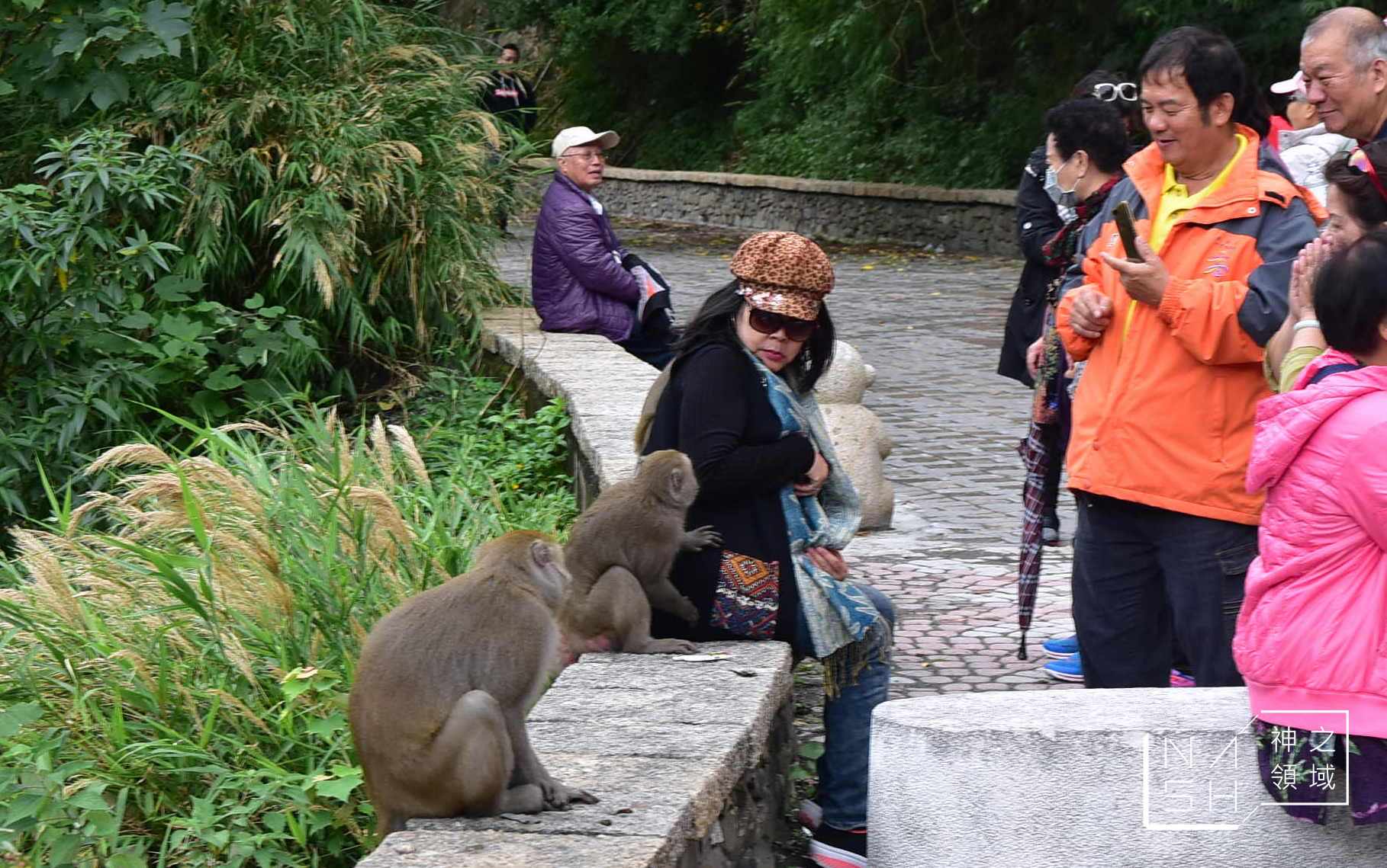 登仙橋