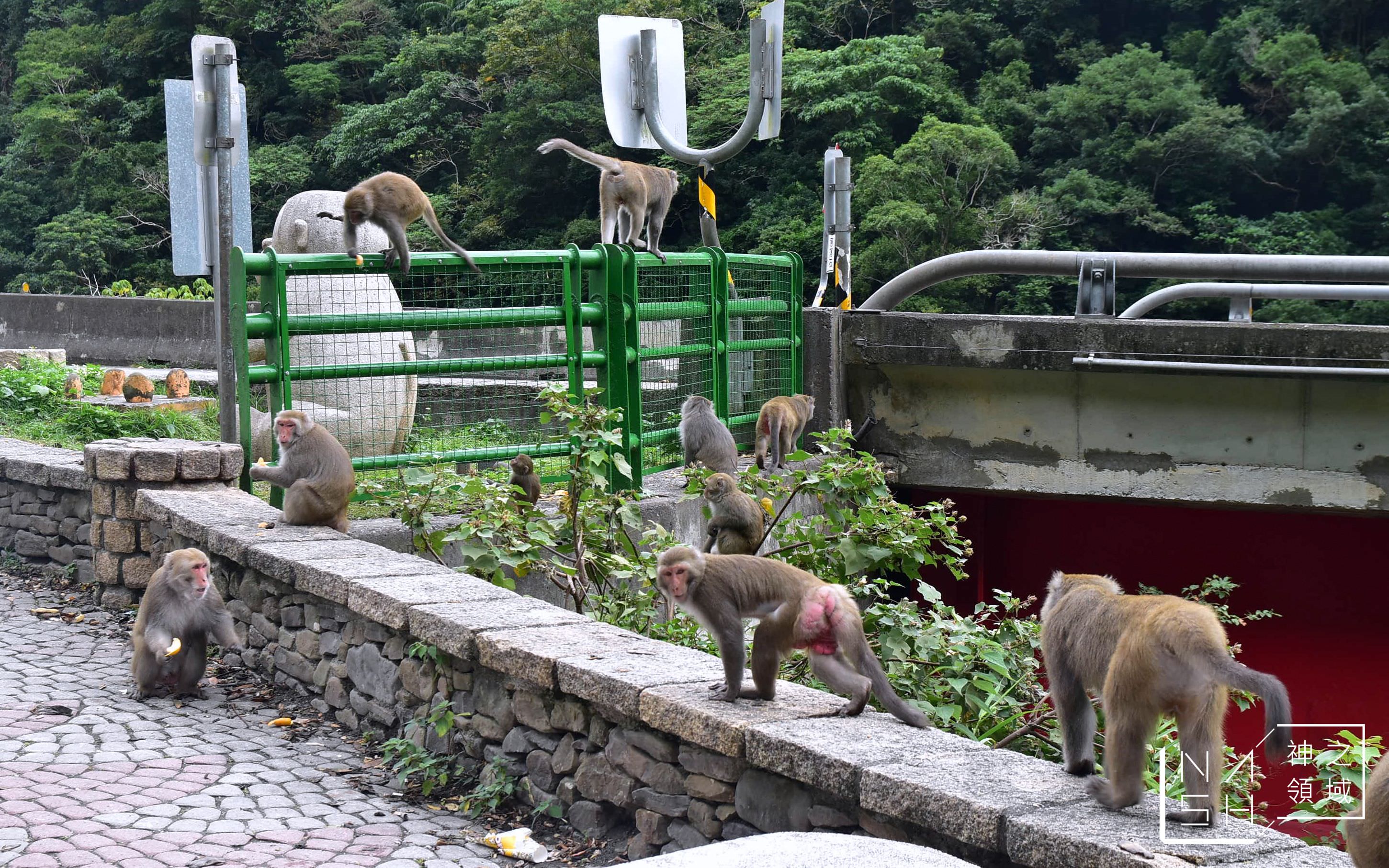 登仙橋