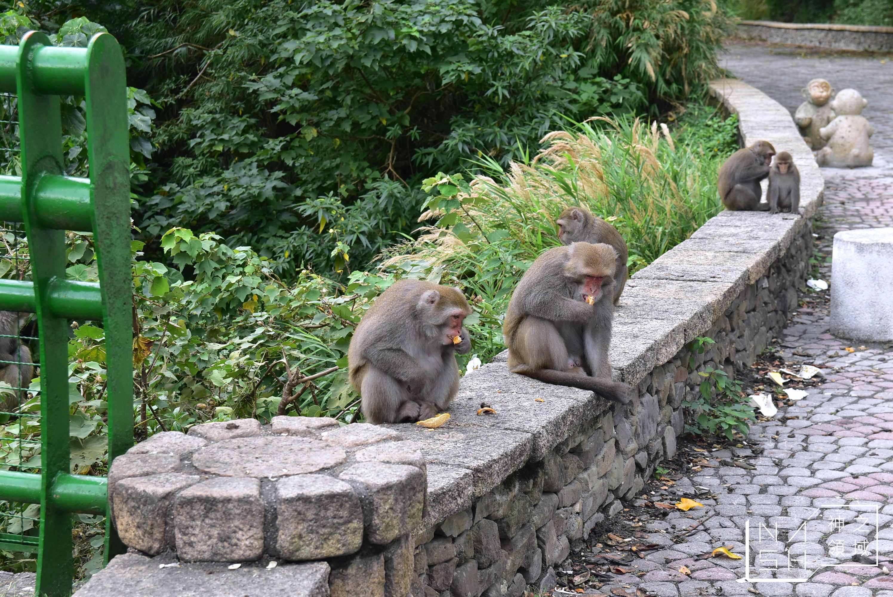 登仙橋
