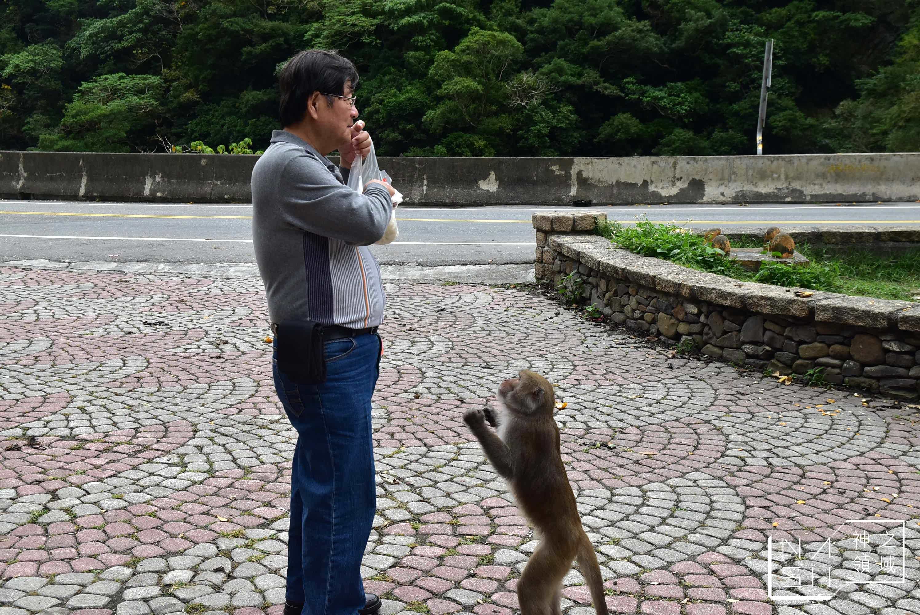 登仙橋