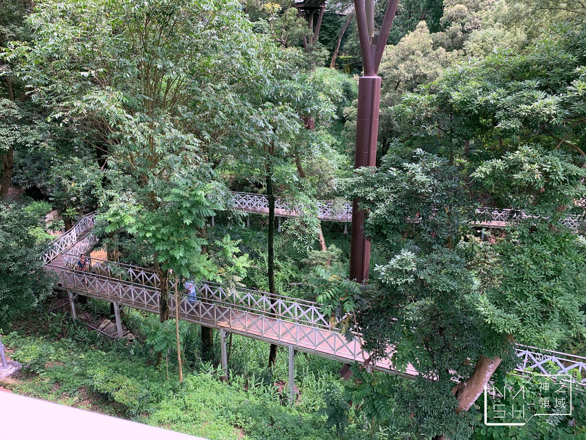 竹崎親水公園