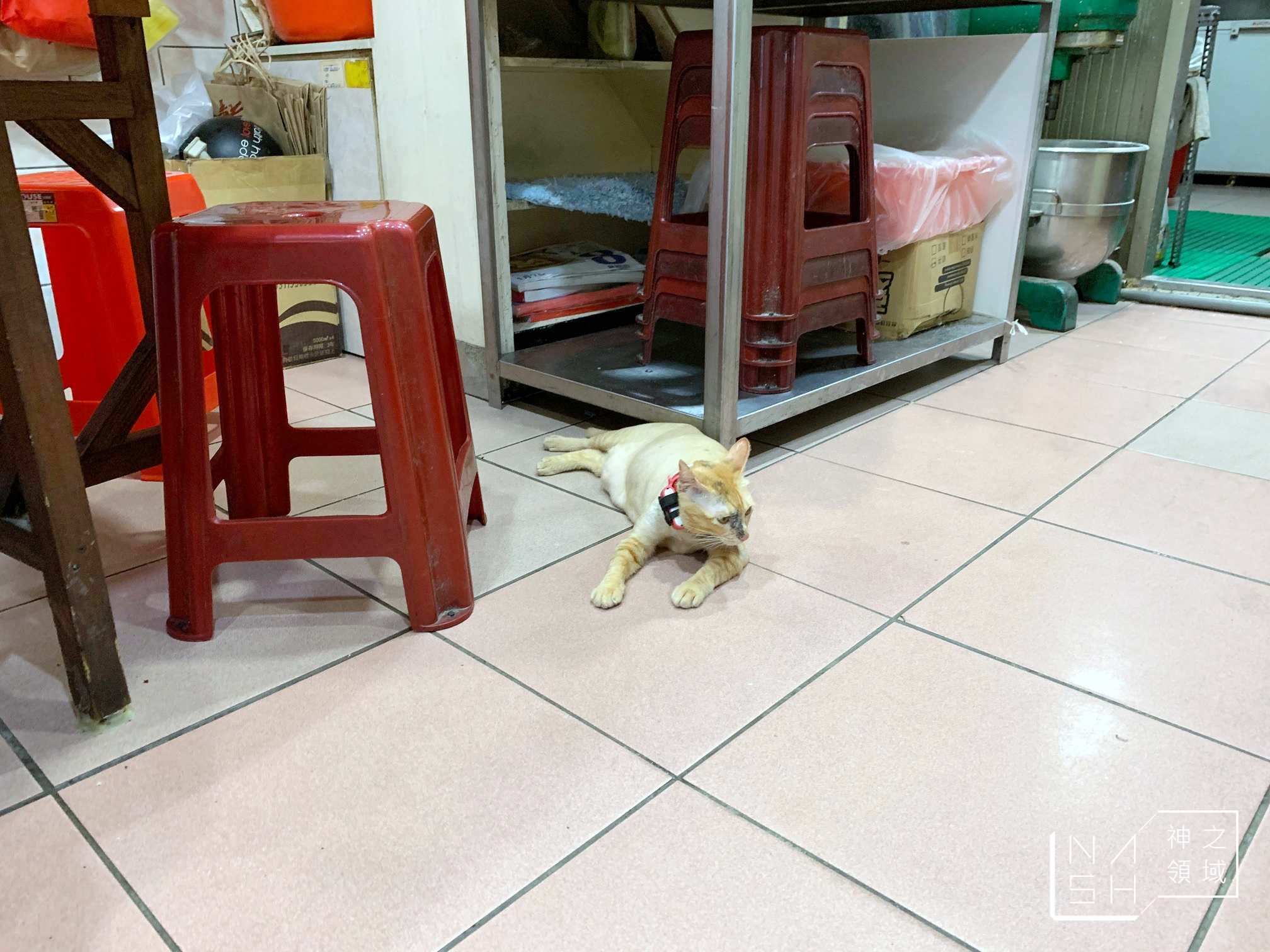 曾家鍋貼店
