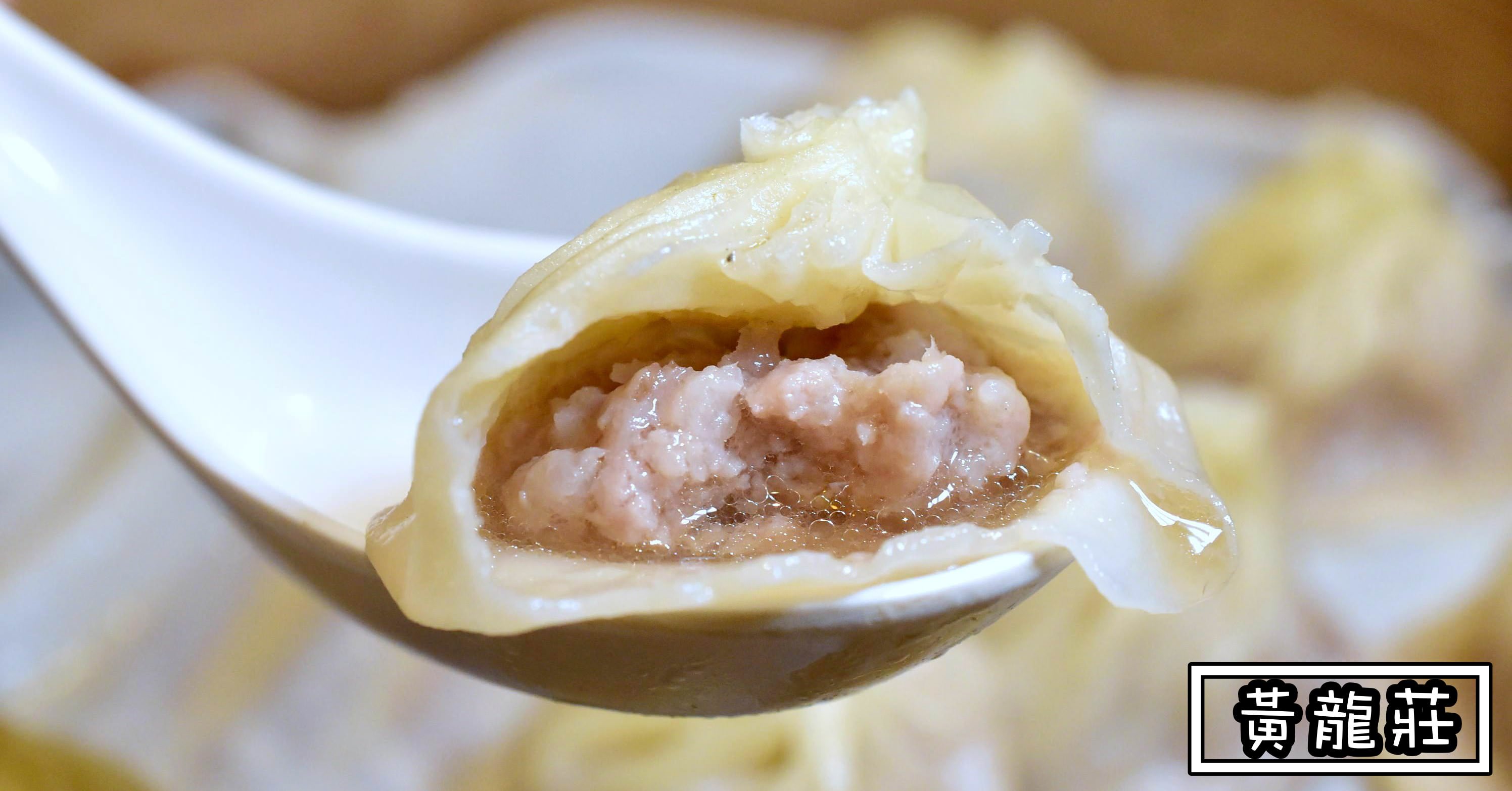 黃龍莊|中正紀念堂美食-小籠包便宜又好吃 (菜單價錢) 黃龍莊|中正紀念堂美食-小籠包便宜又好吃 (菜單價錢)