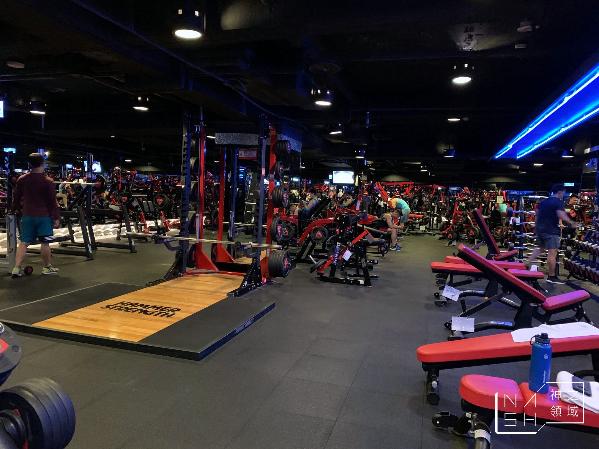 World Gym Elite