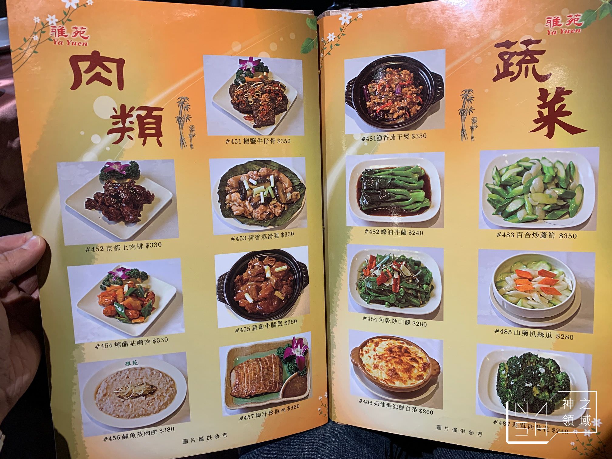 雅苑