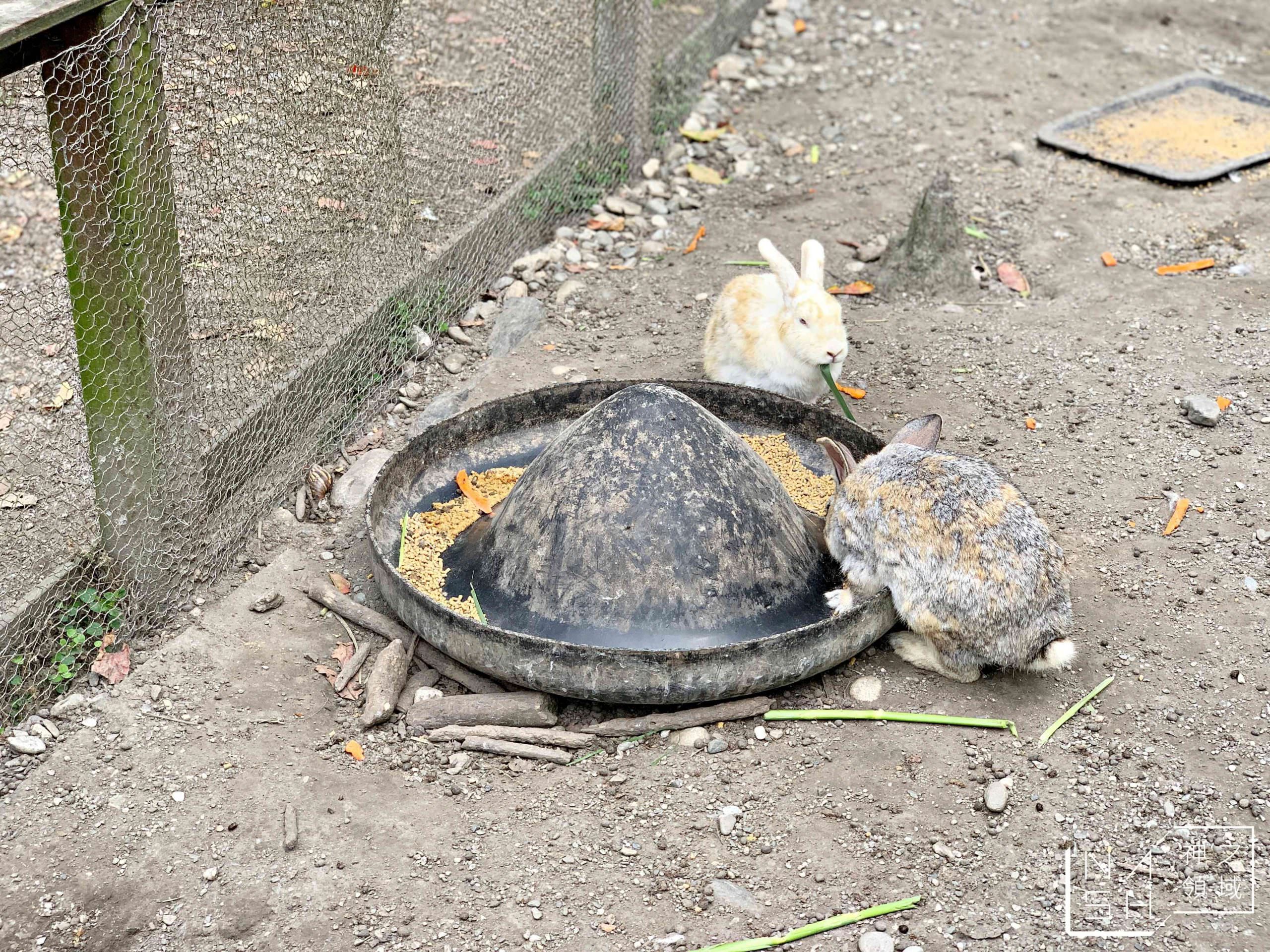 兆豐農場