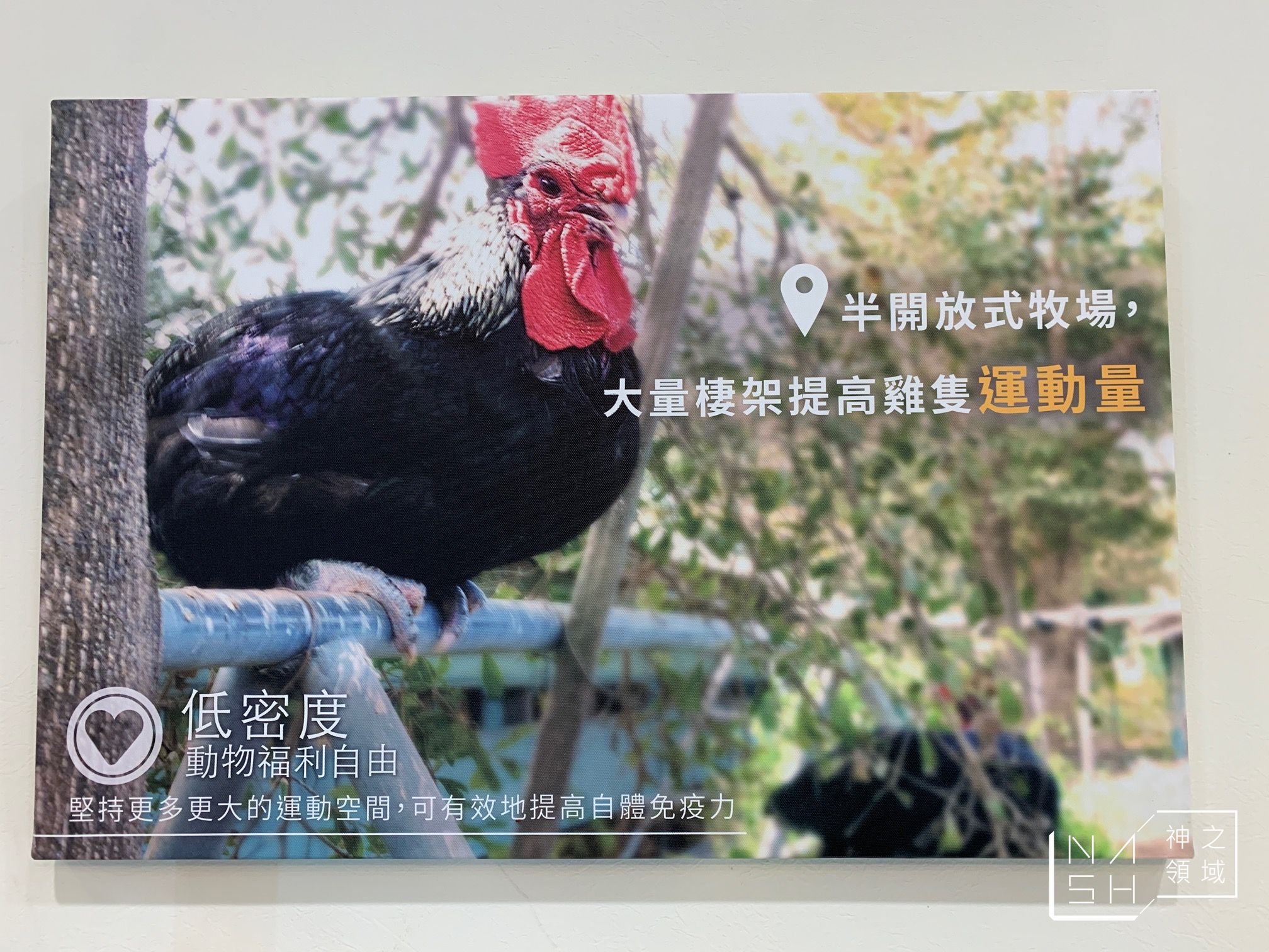 元榆牧場