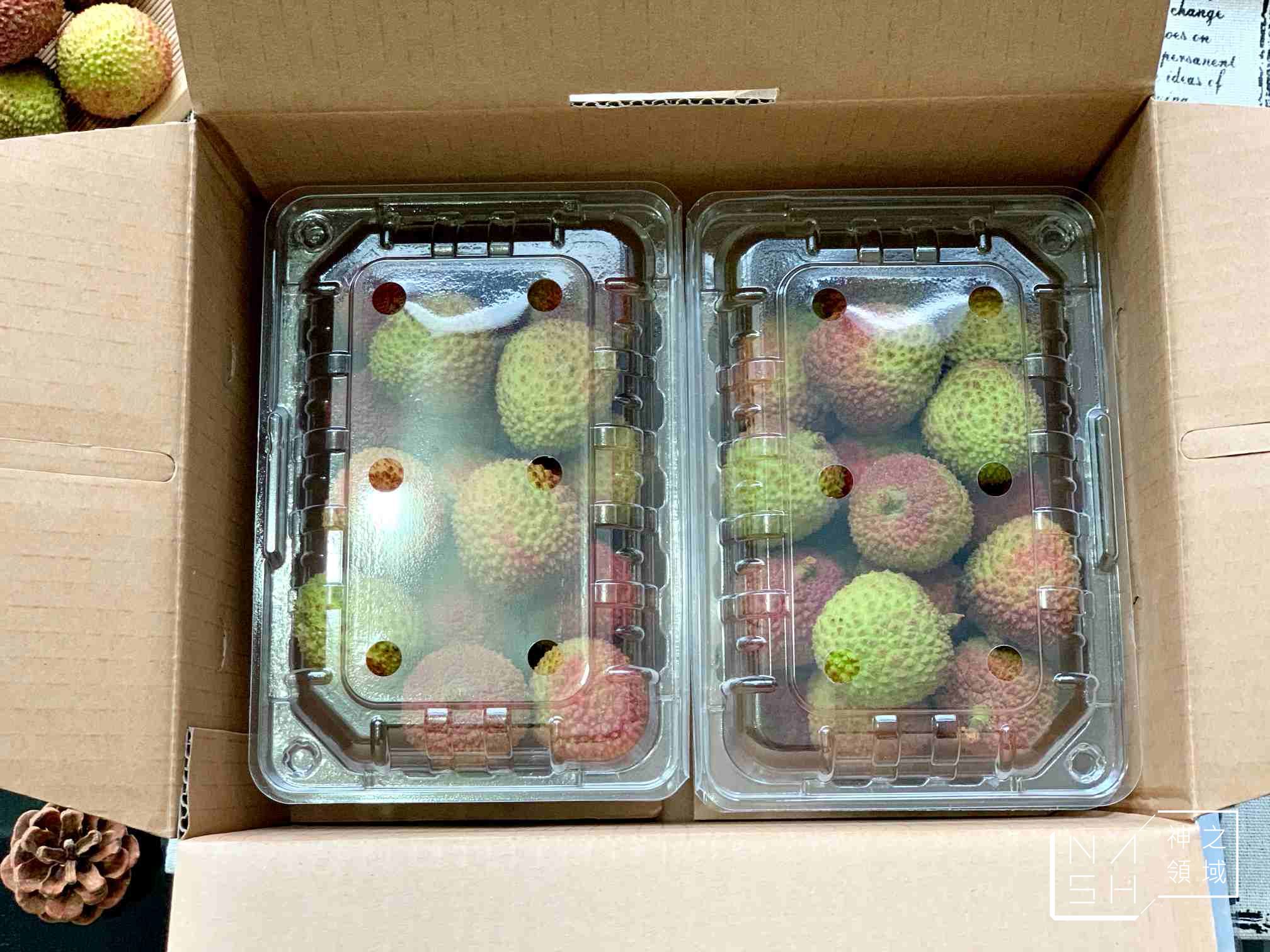 大樹玉荷包荔枝