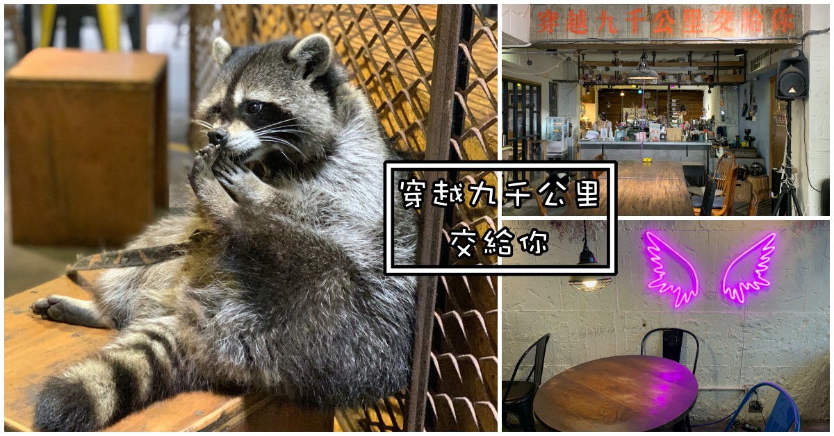 穿越九千公里交給你