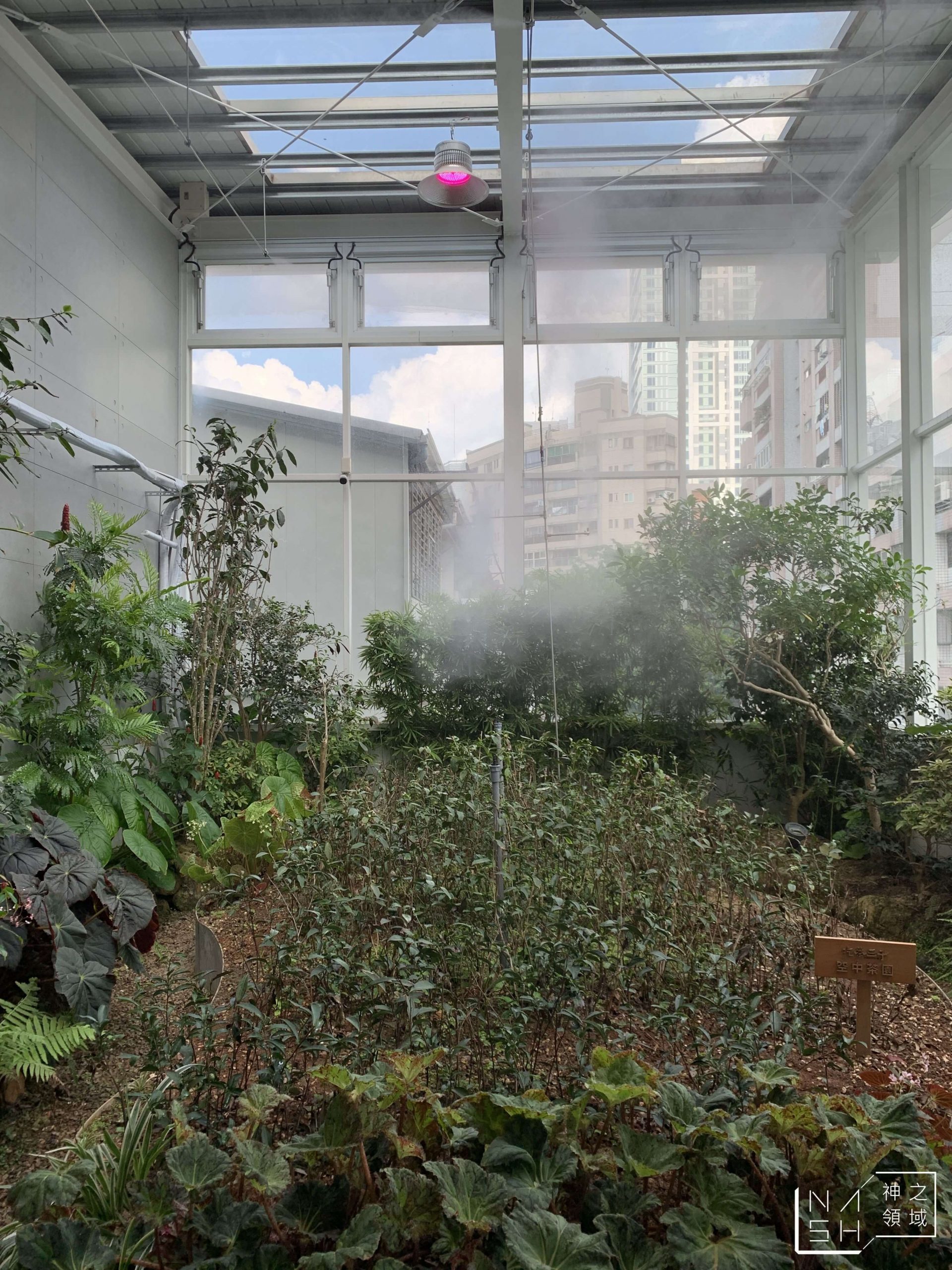 吃茶三千