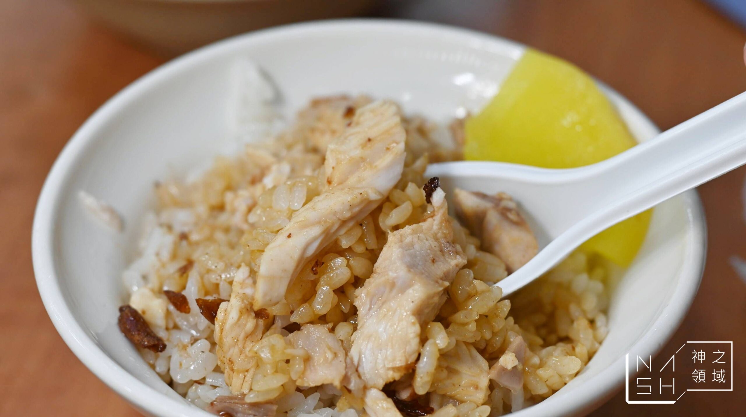 民主火雞肉飯
