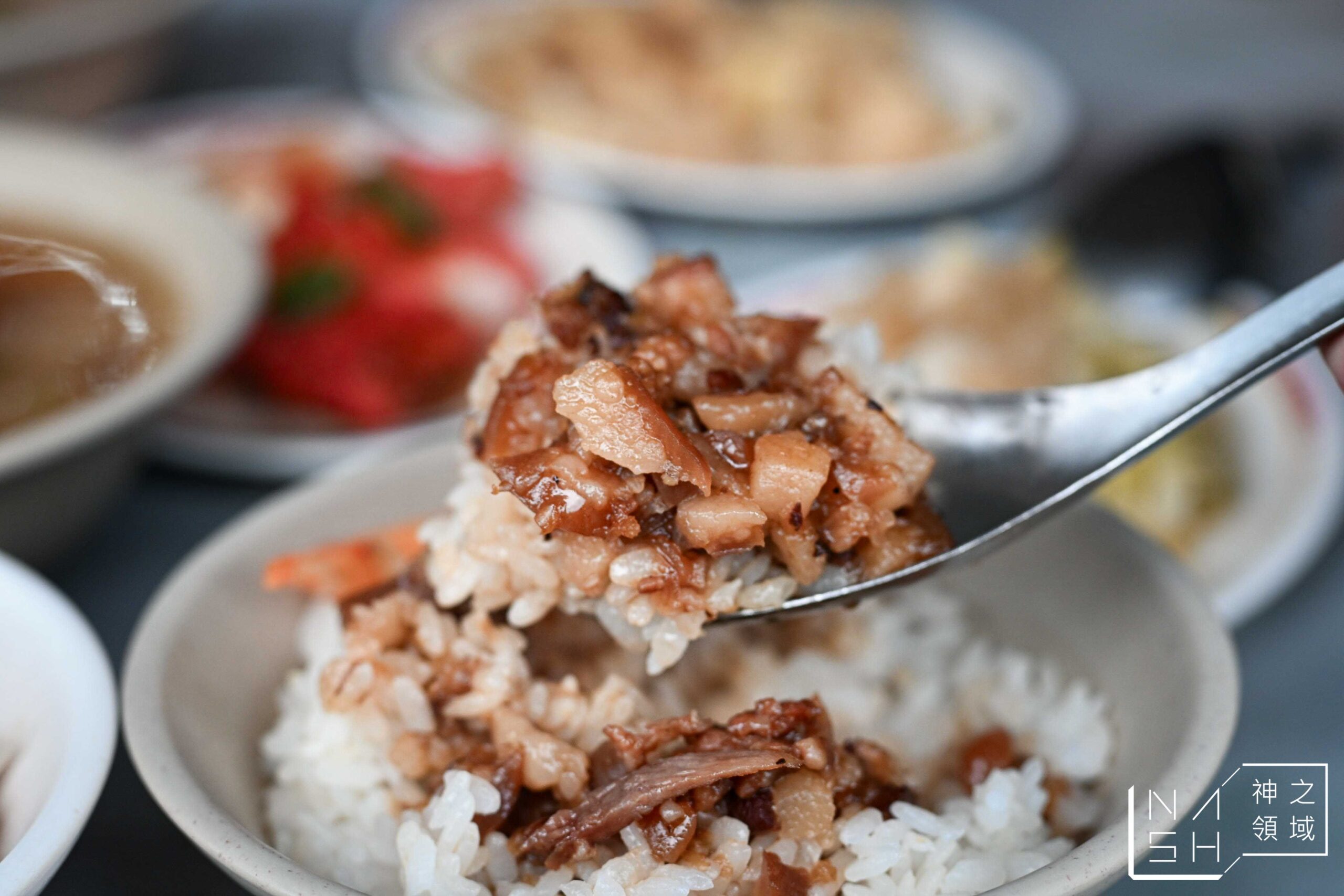 正宗嘉義火雞肉飯