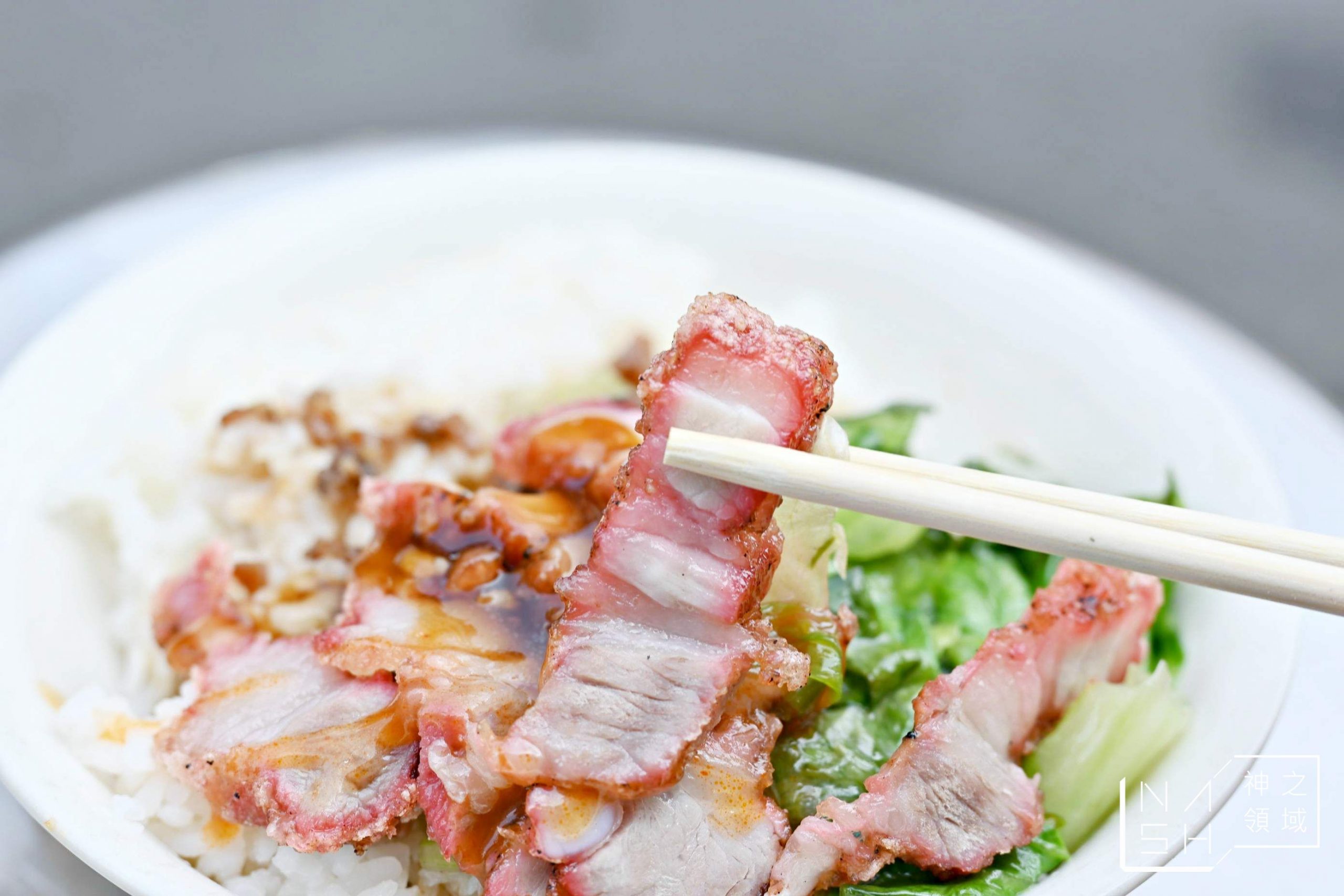 潘記燒肉飯
