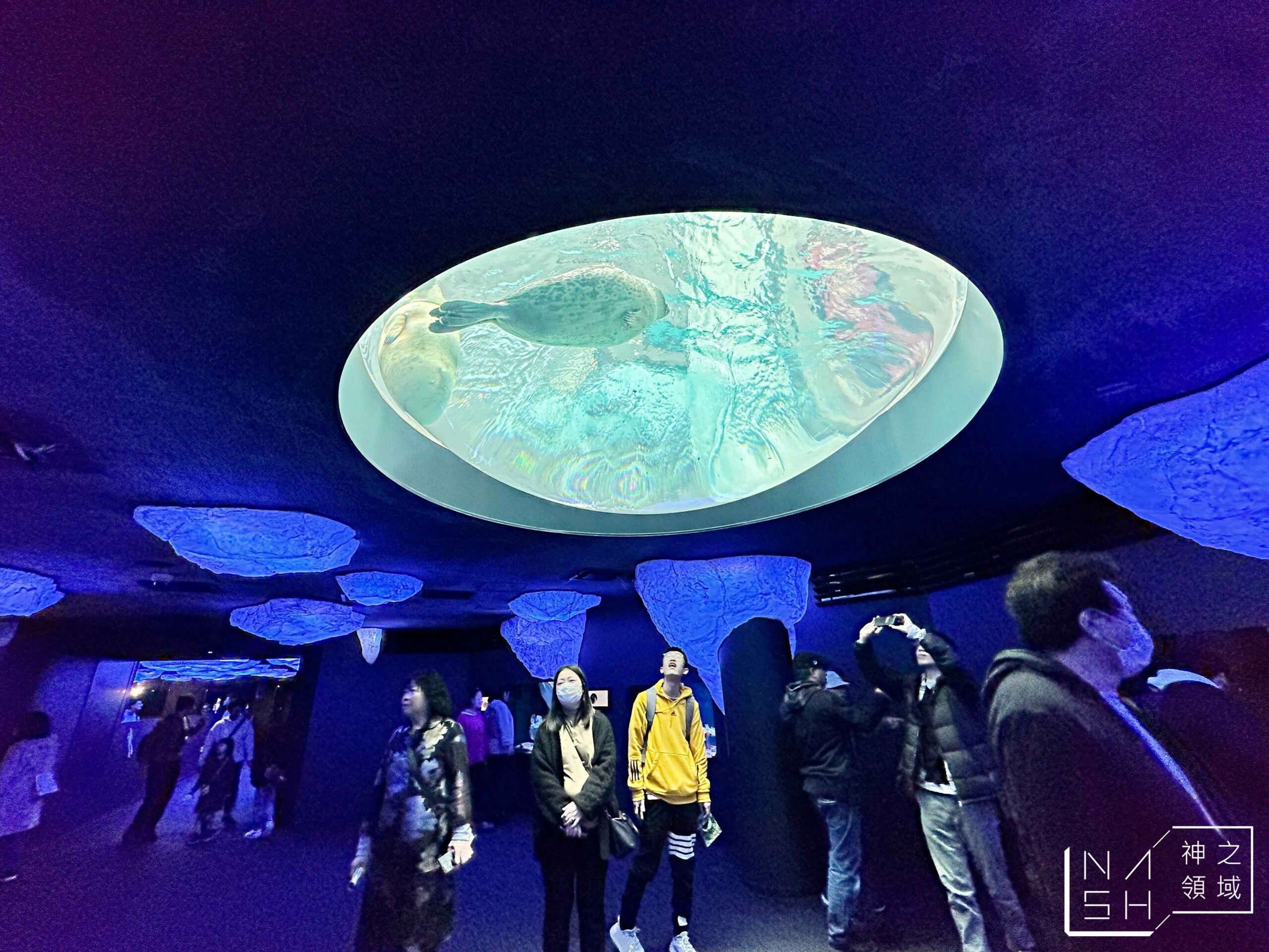  @Nash，神之領域