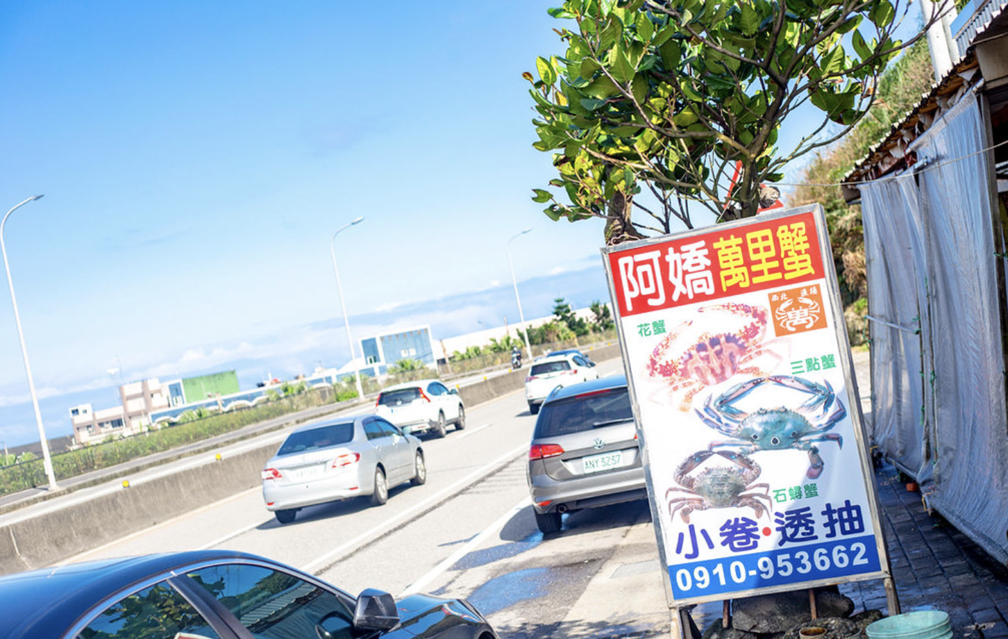 阿嬌萬里蟹