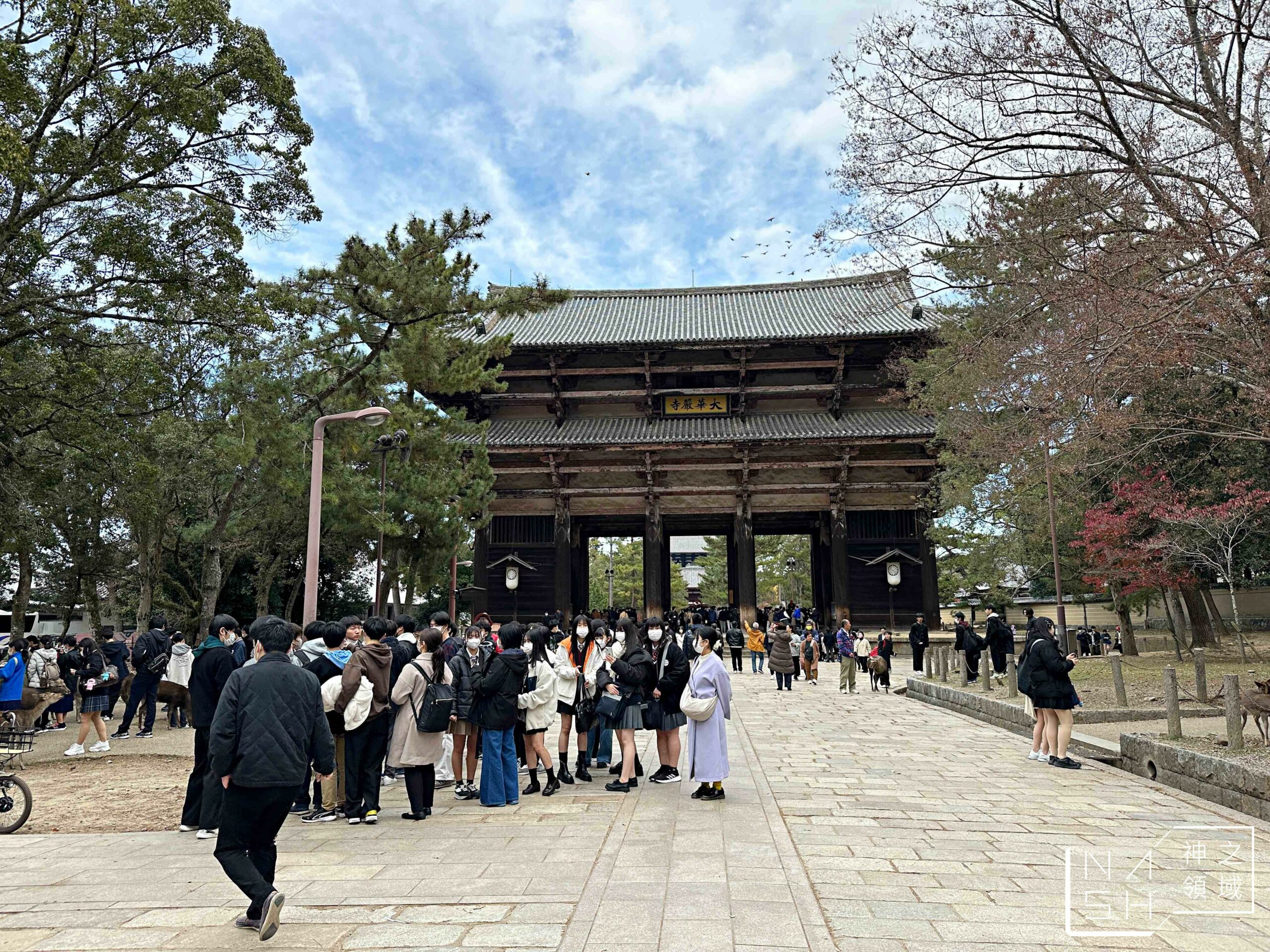  @Nash，神之領域