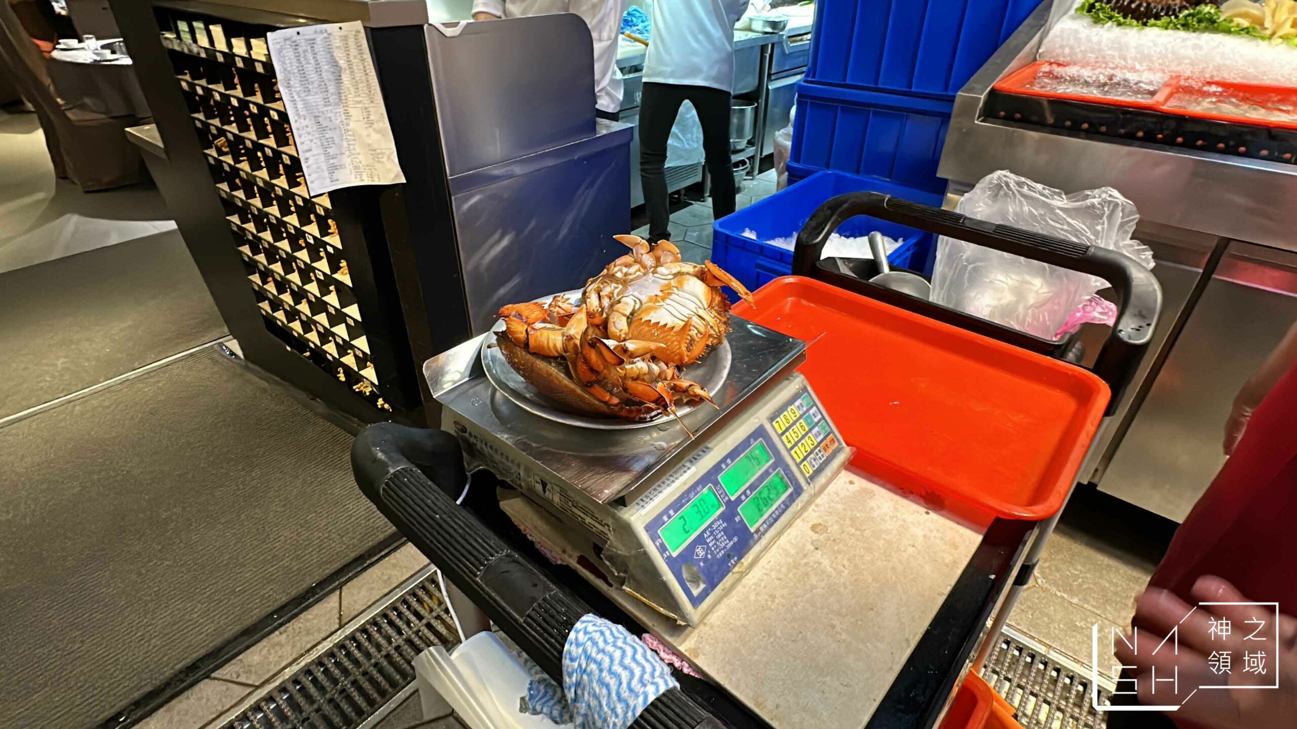 新東南海鮮料理松山店