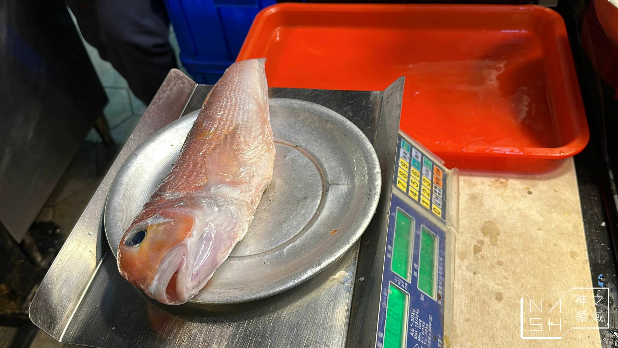 新東南海鮮料理松山店