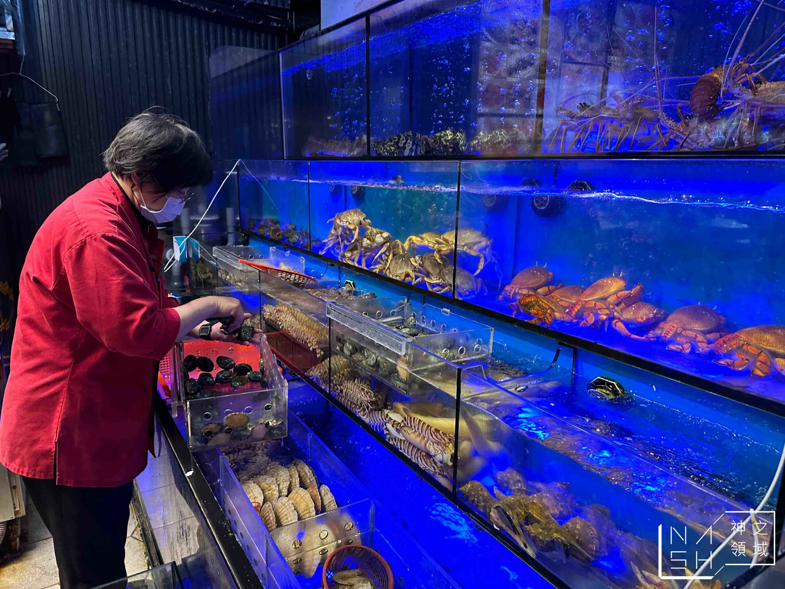 新東南海鮮料理松山店