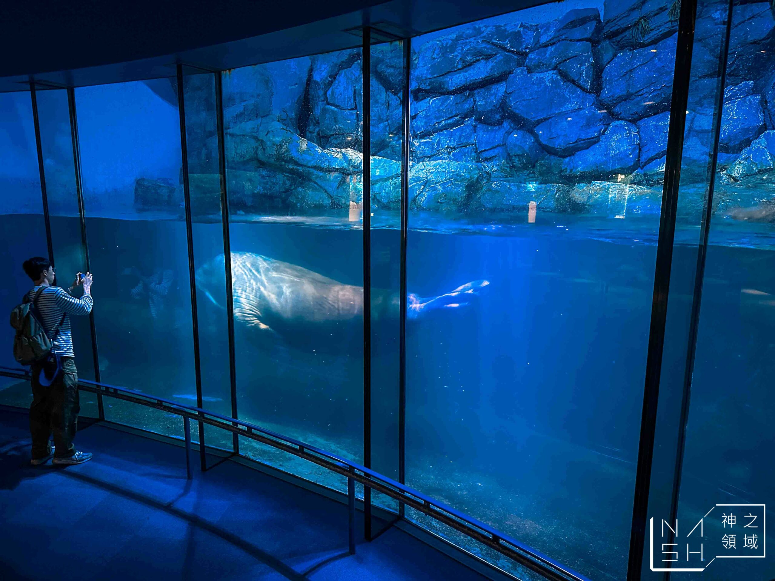 橫濱八景島海島樂園