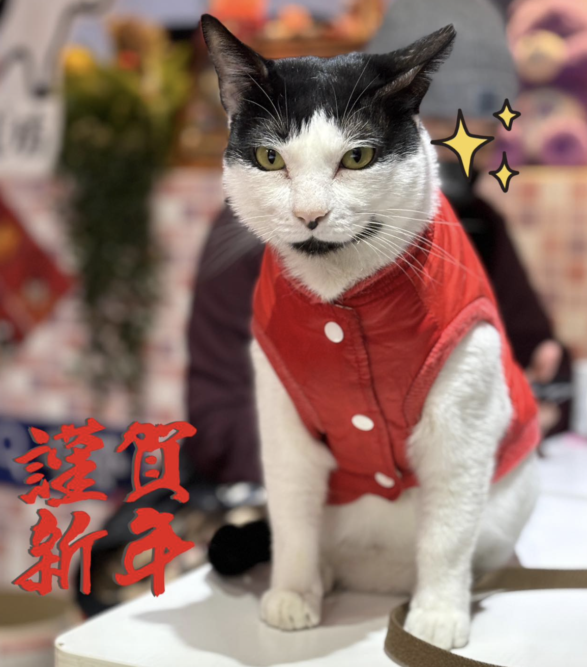 餓店蒸氣吐司