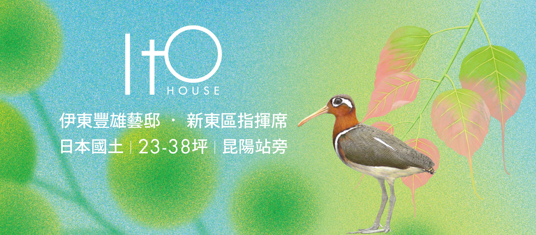 豐琚