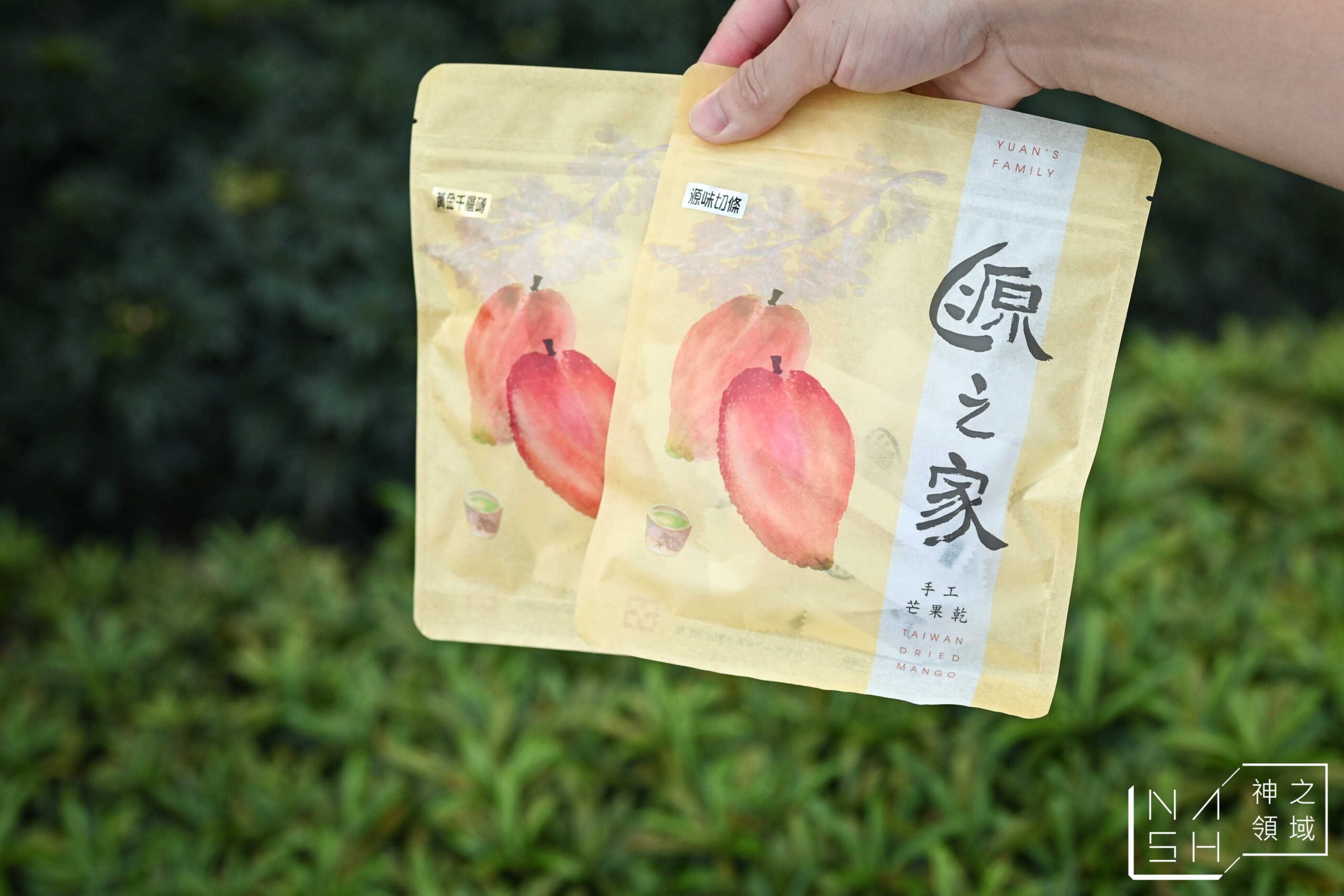 源之家極致芒果乾