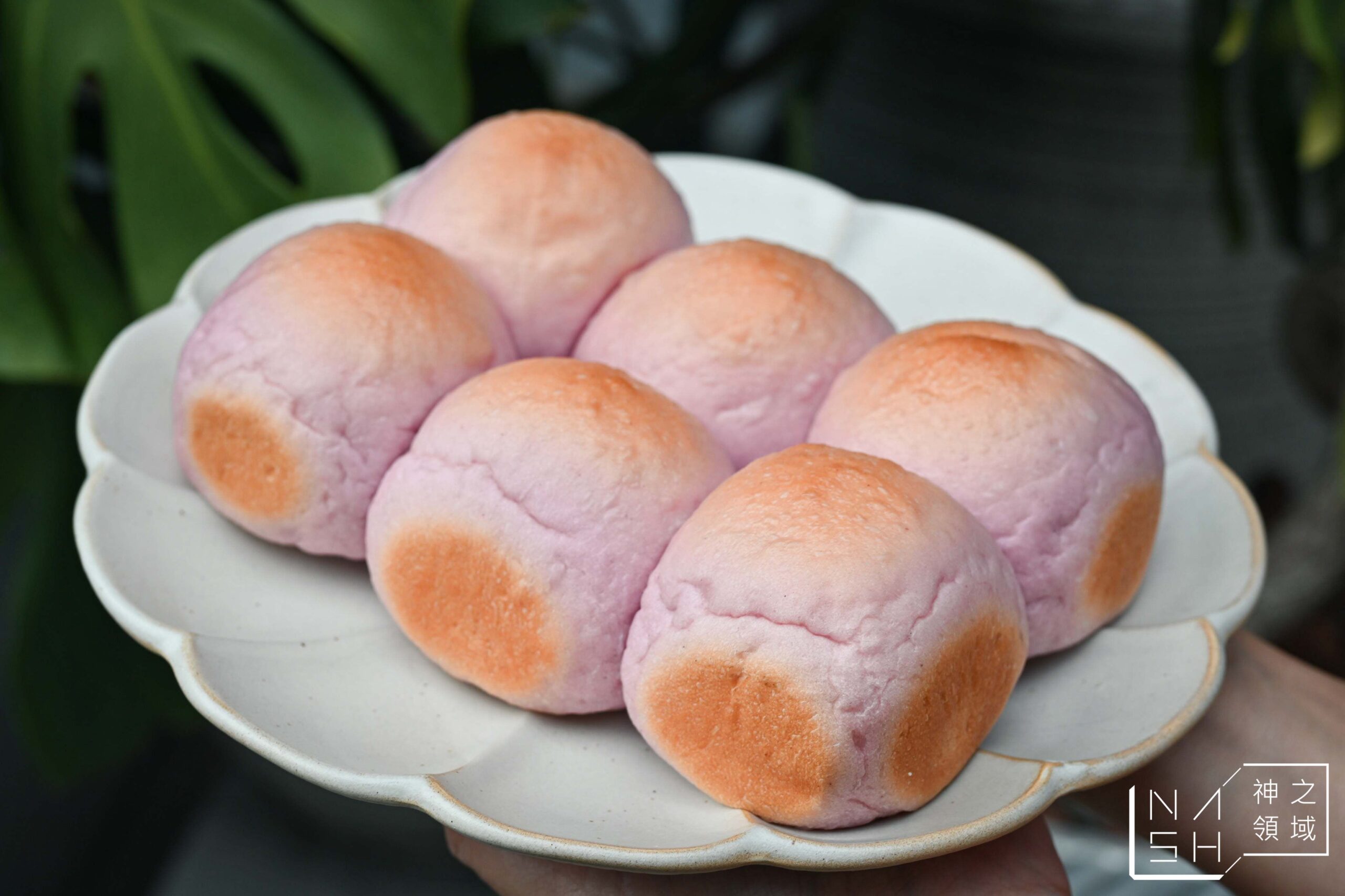 真實BAKERY日式生吐司