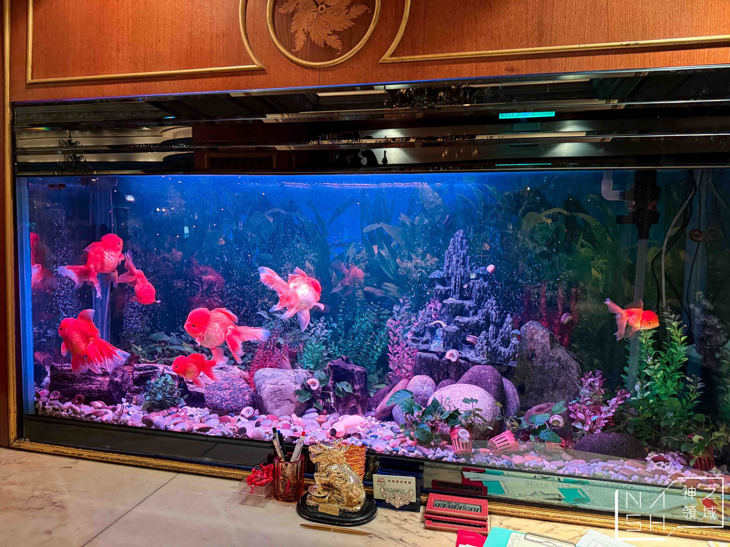 特香齋西餐