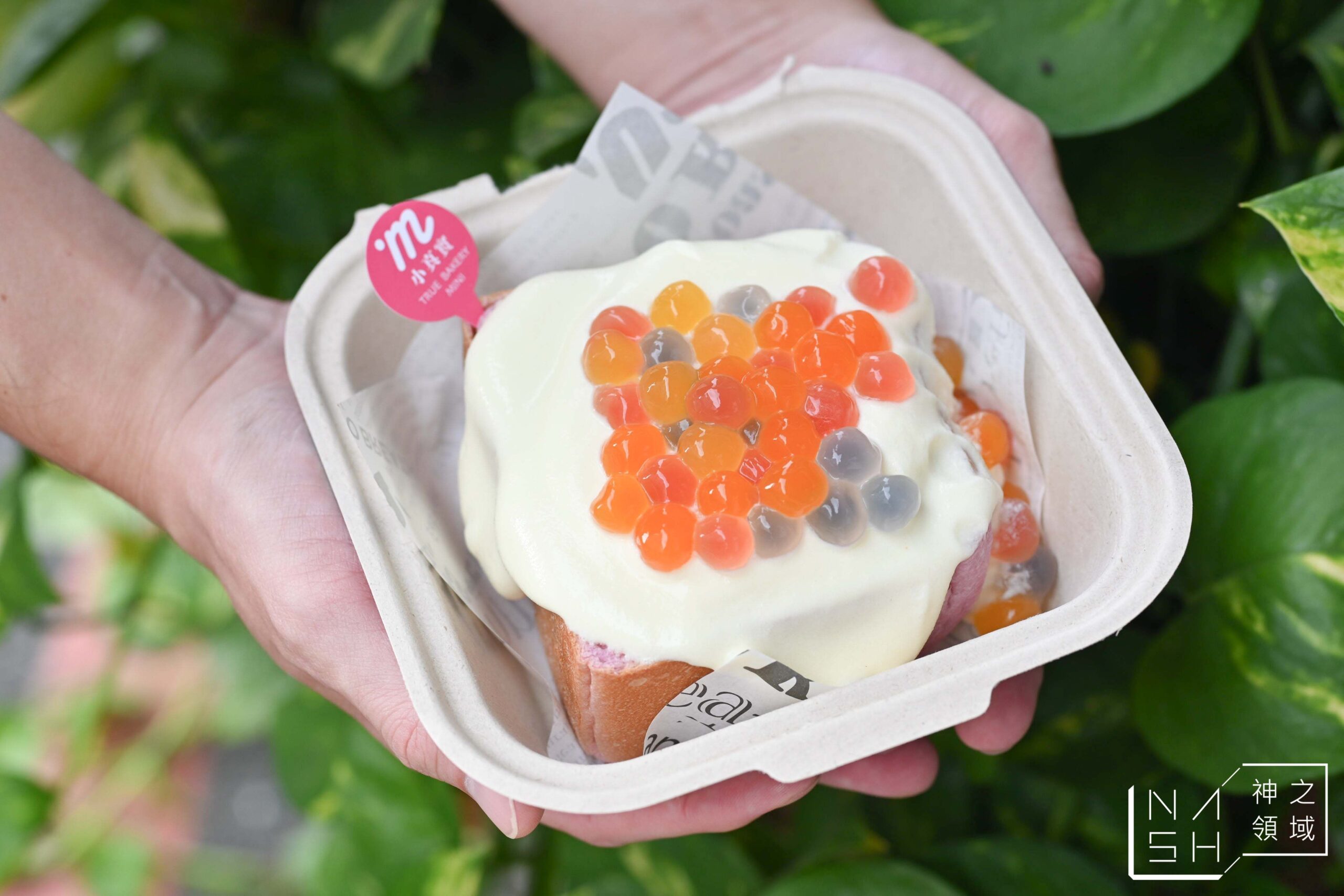 小真實mini生吐司嘉義文化店