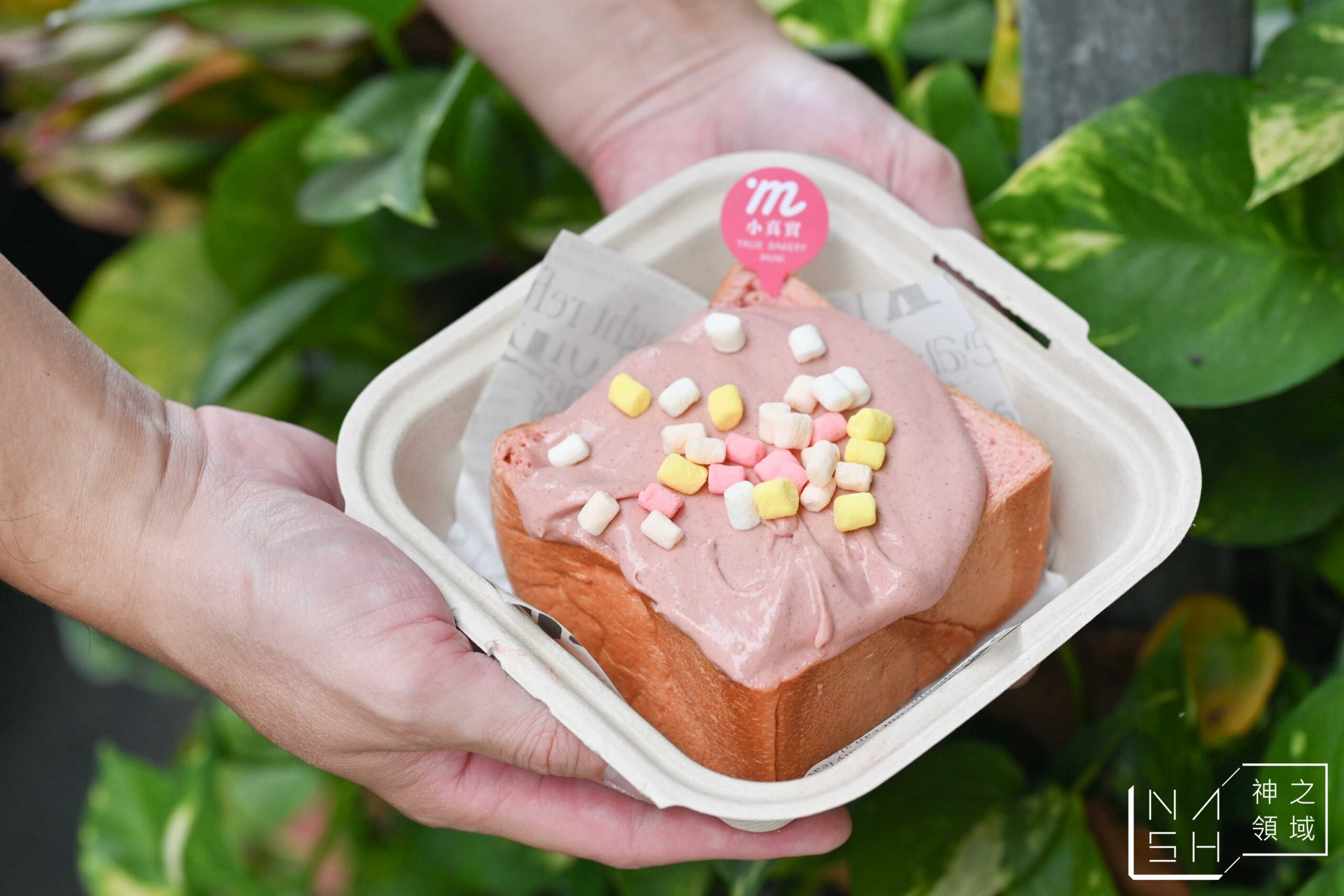 小真實mini生吐司嘉義文化店