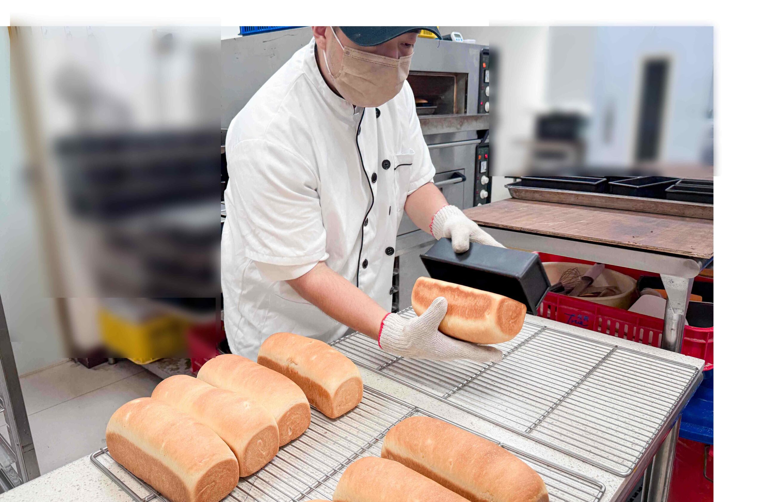 真實BAKERY日式生吐司嘉義阿里山公路店