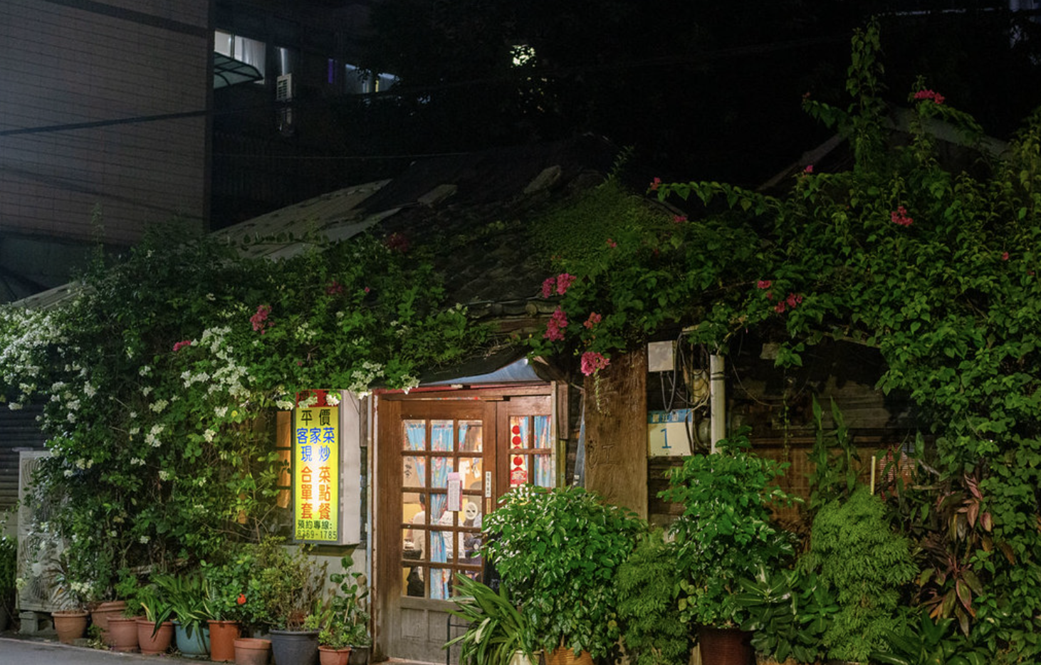 晉江茶堂 @Nash，神之領域