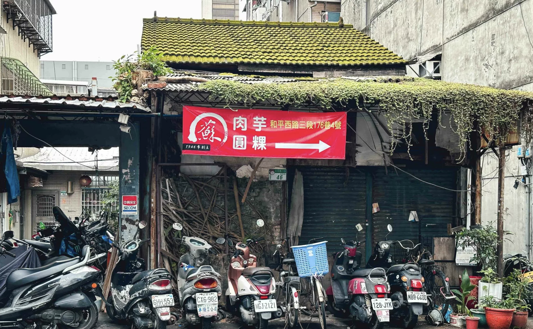 萬華蘇家肉圓油粿 @Nash，神之領域