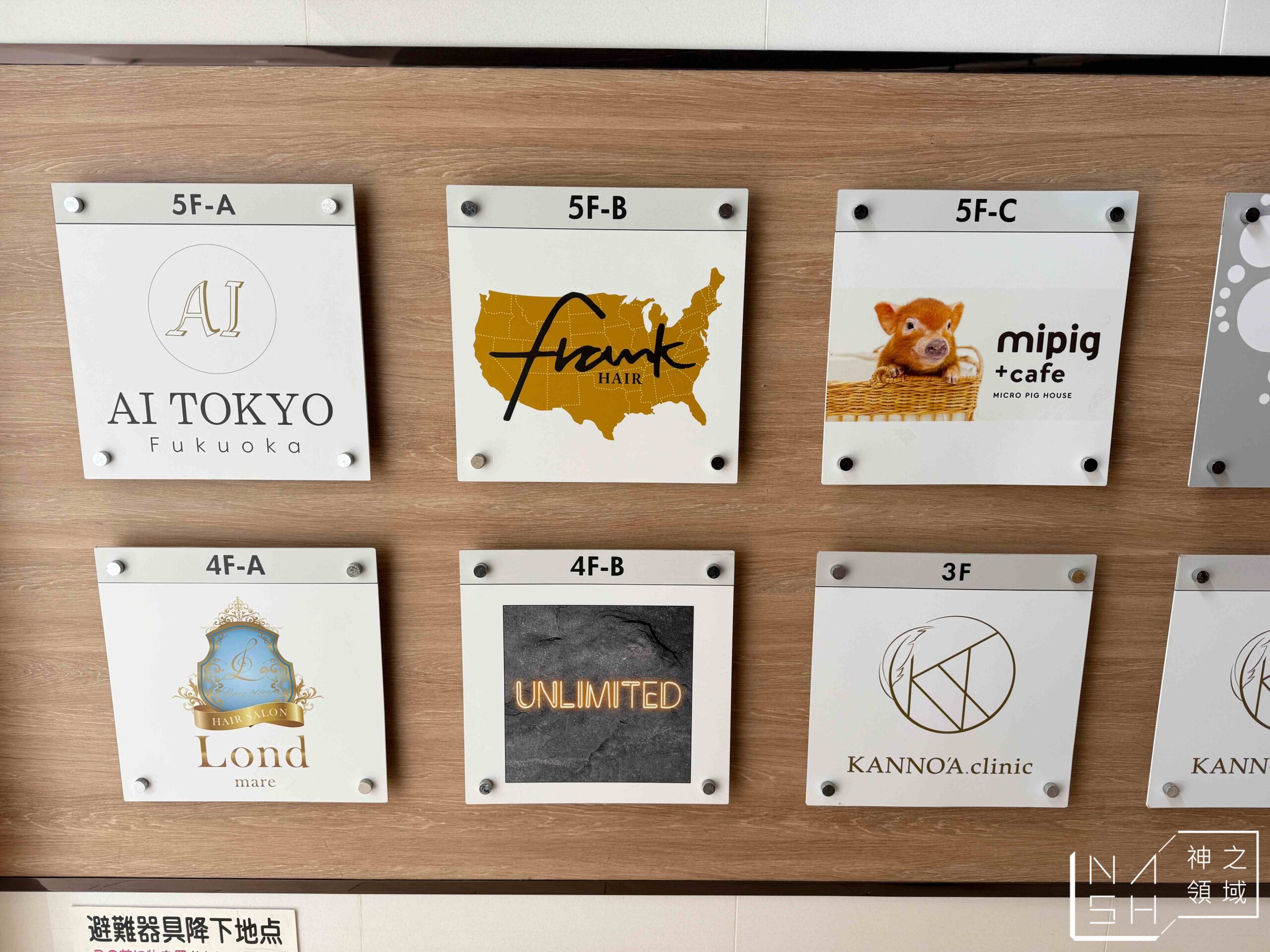 Mipig Cafe迷你豬咖啡廳