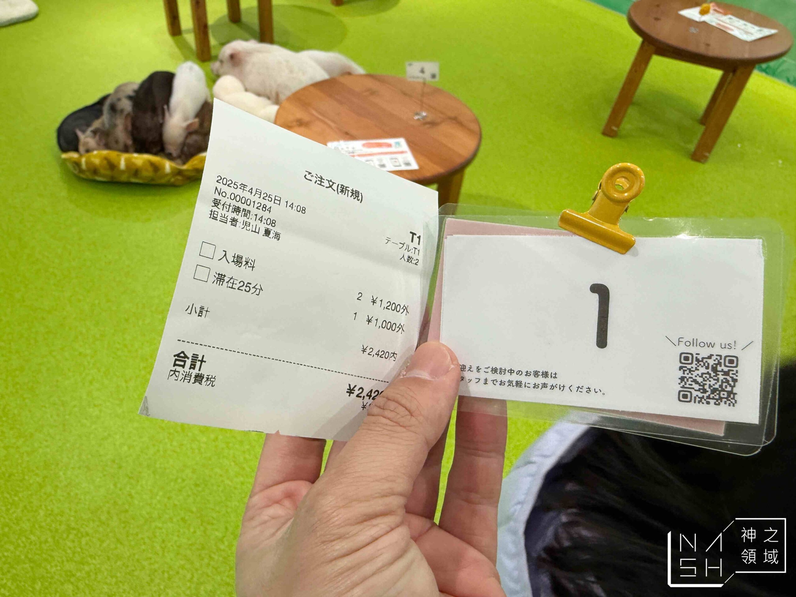 Mipig Cafe迷你豬咖啡廳