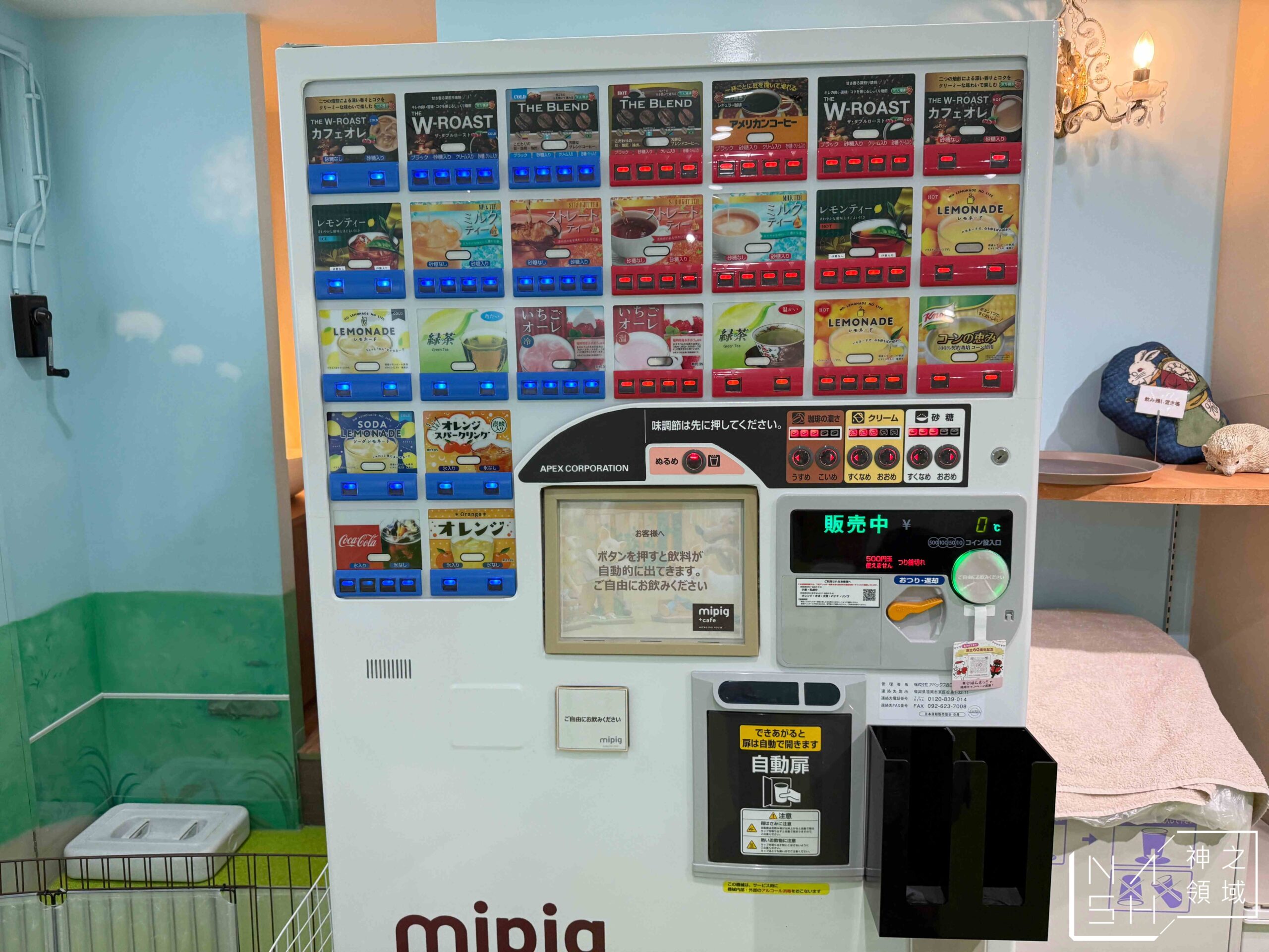 Mipig Cafe迷你豬咖啡廳