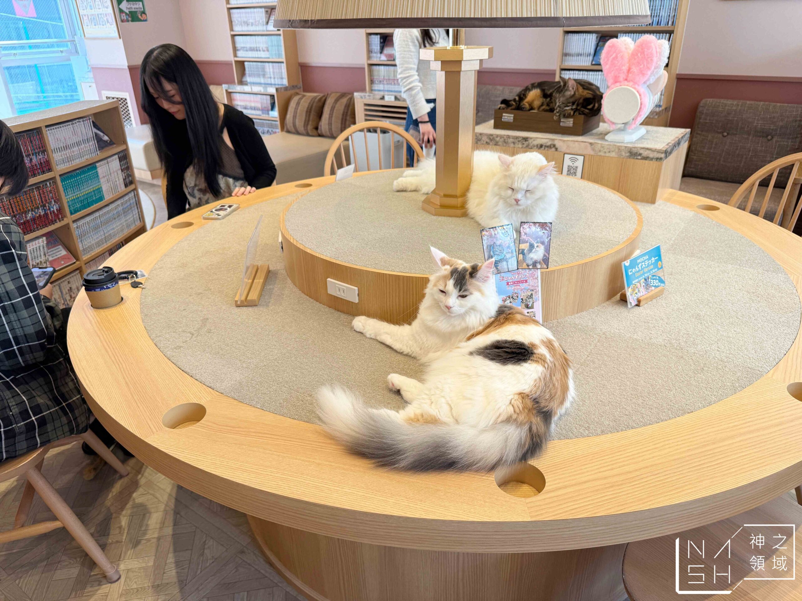 MOCHA CAT CAFE天神大名店