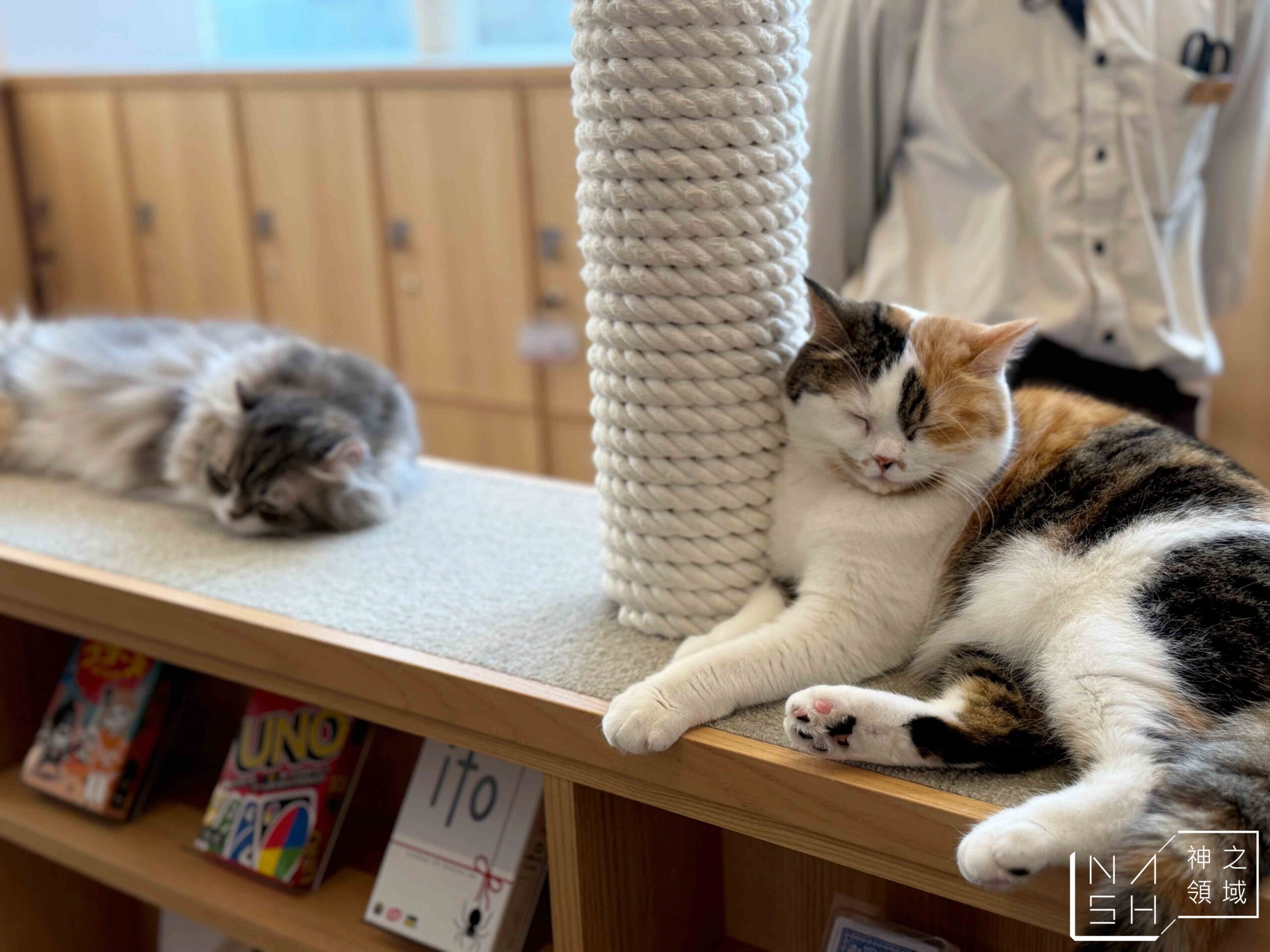 MOCHA CAT CAFE天神大名店