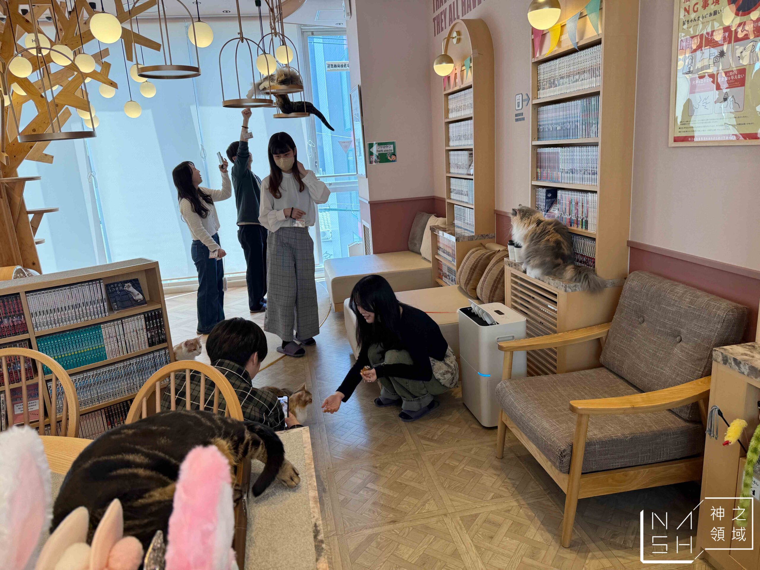 MOCHA CAT CAFE天神大名店
